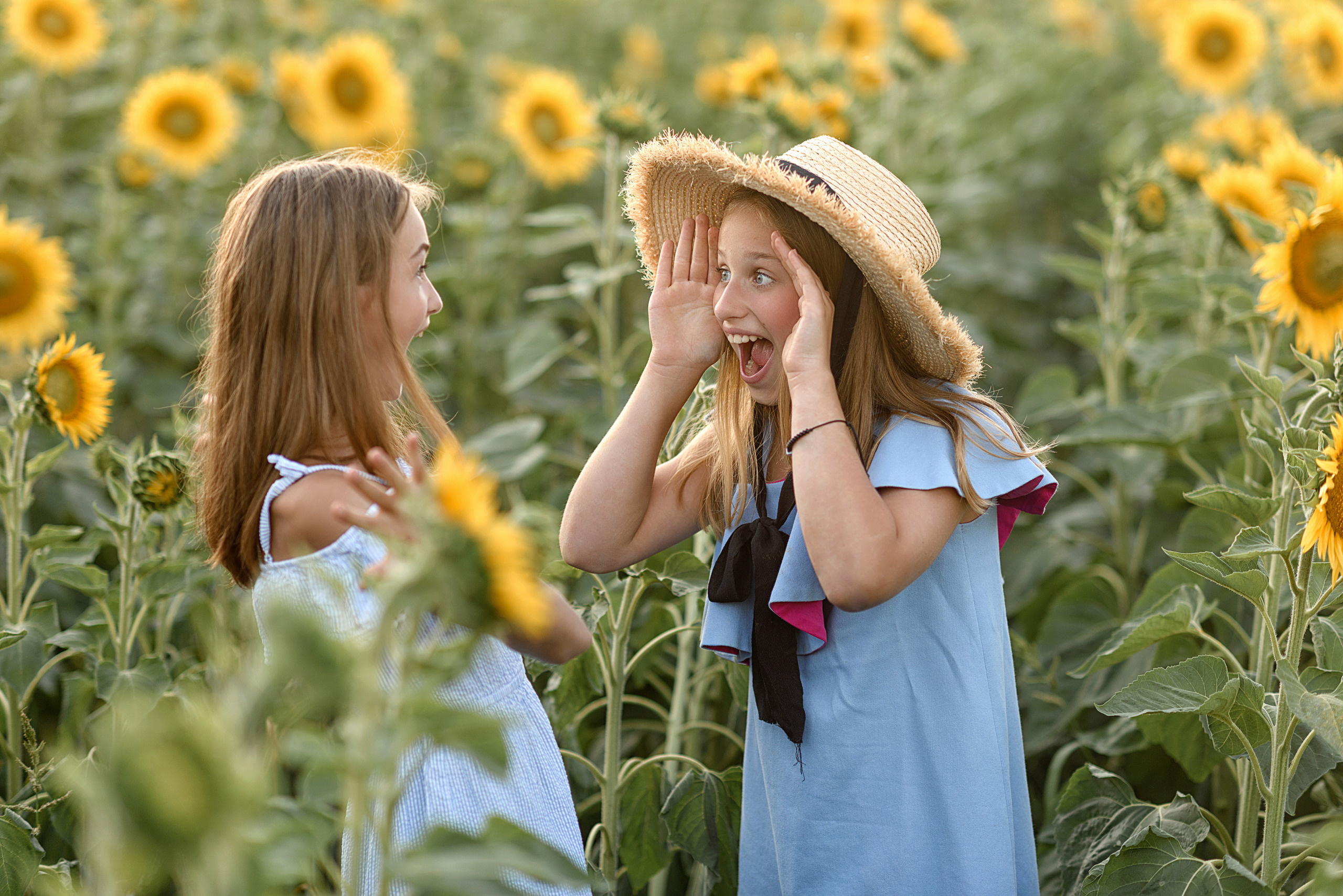 Фотосессия в подсолнухах. Профессиональный фотограф. Портрет, семья, дети