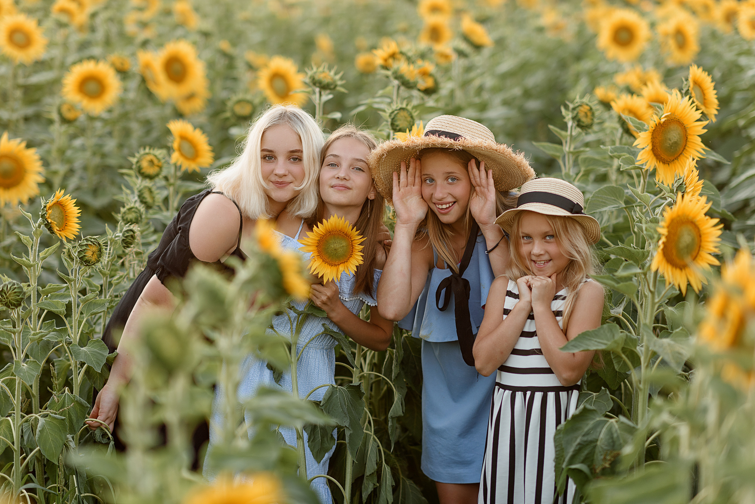 Фотосессия в подсолнухах. Профессиональный фотограф. Портрет, семья, дети