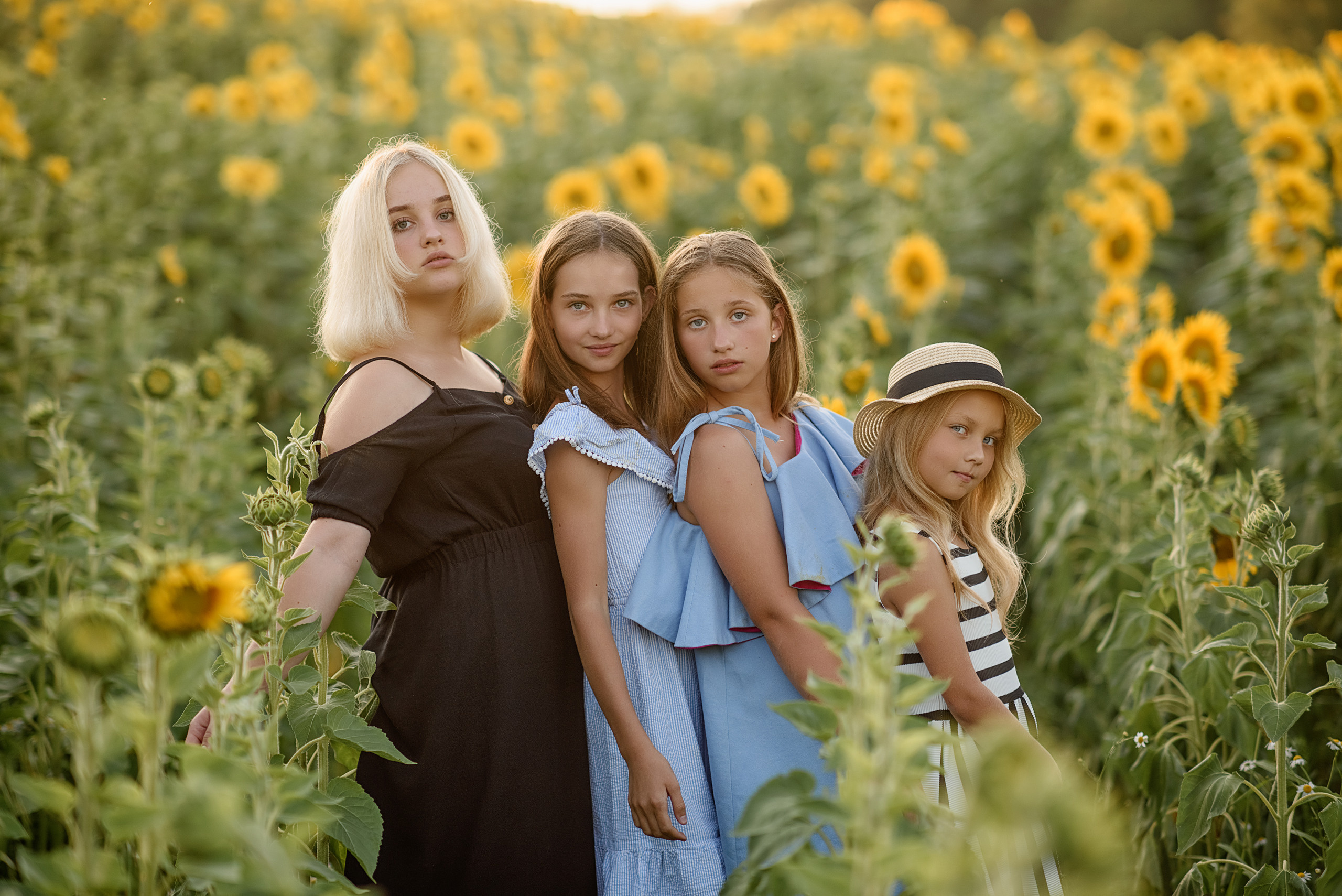 Фотосессия в подсолнухах. Профессиональный фотограф. Портрет, семья, дети