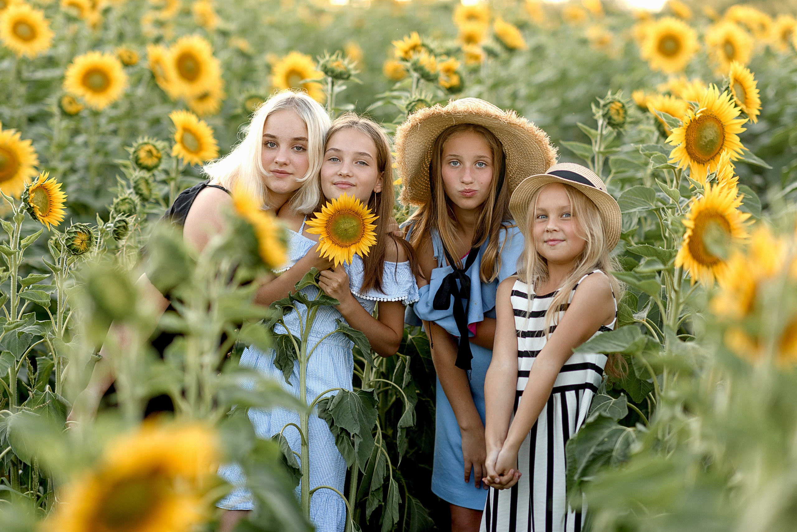 Фотосессия в подсолнухах. Профессиональный фотограф. Портрет, семья, дети