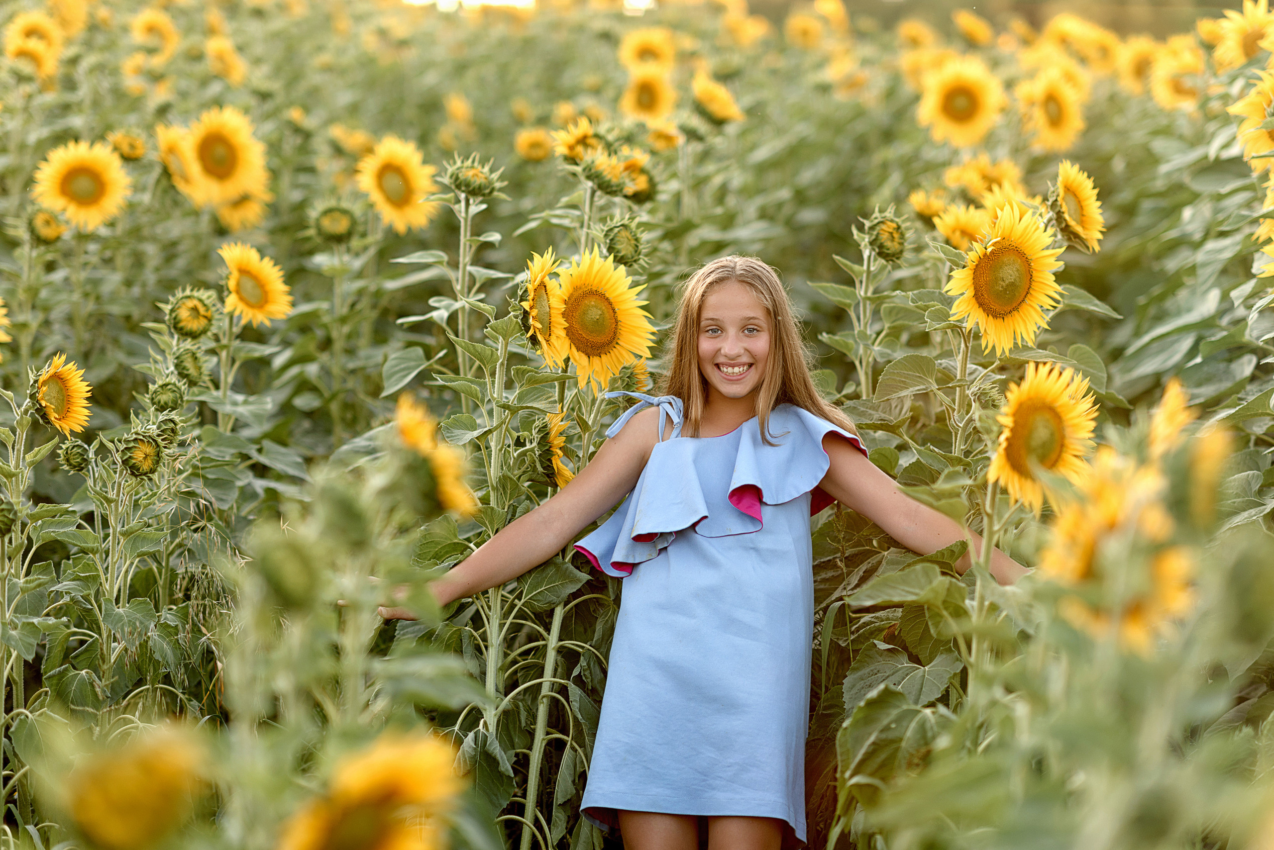 Фотосессия в подсолнухах. Профессиональный фотограф. Портрет, семья, дети