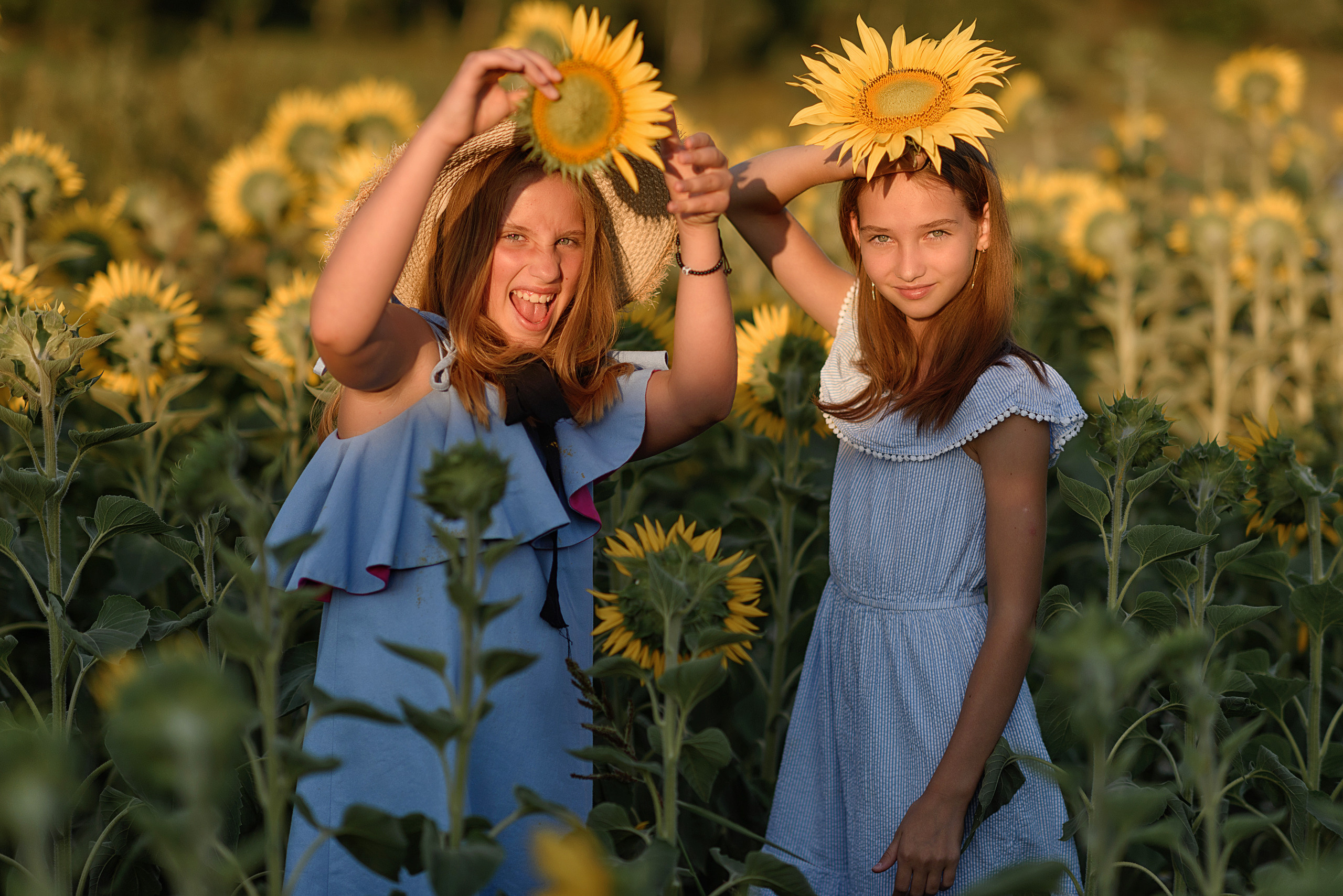 Фотосессия в подсолнухах. Профессиональный фотограф. Портрет, семья, дети