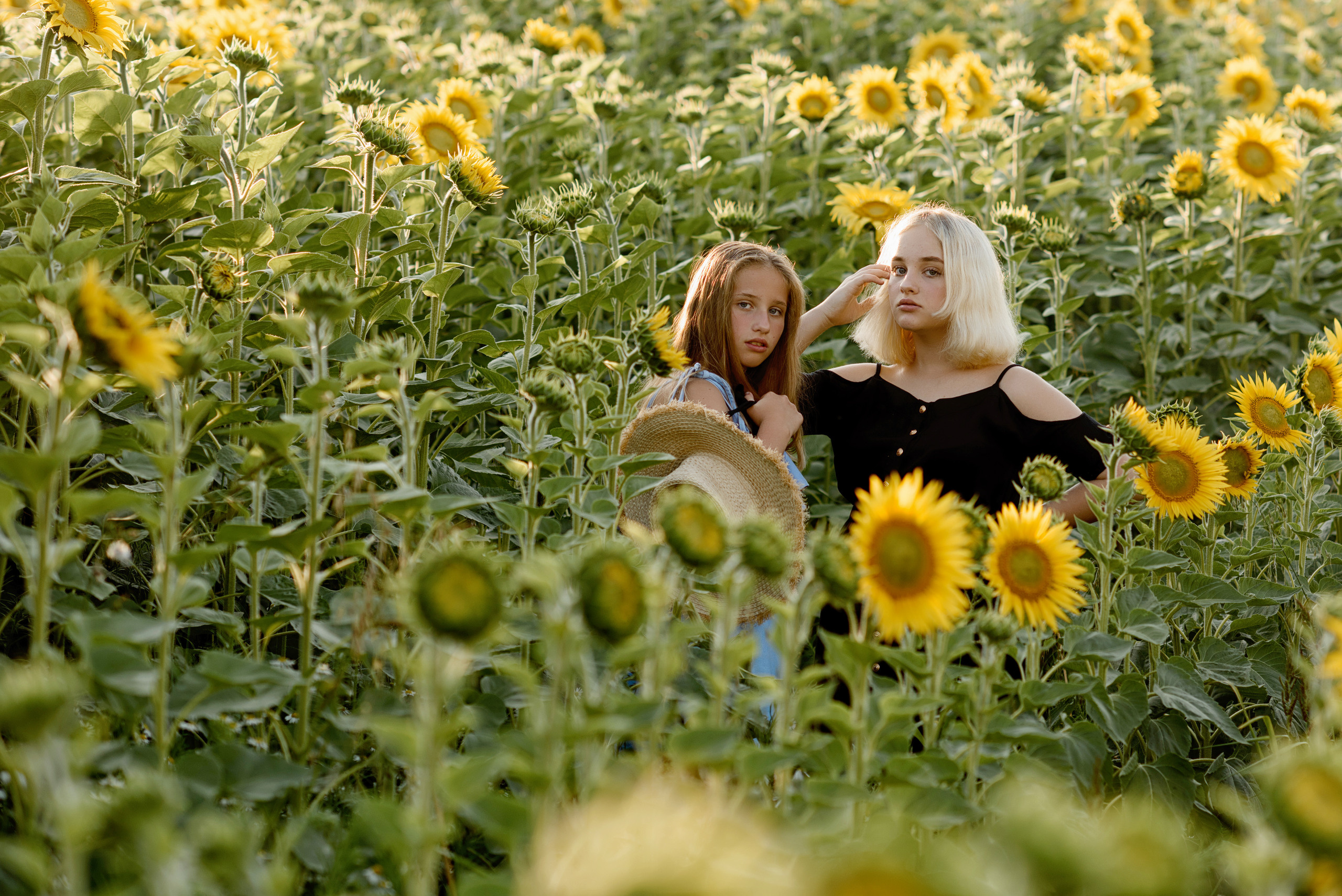 Фотосессия в подсолнухах. Профессиональный фотограф. Портрет, семья, дети