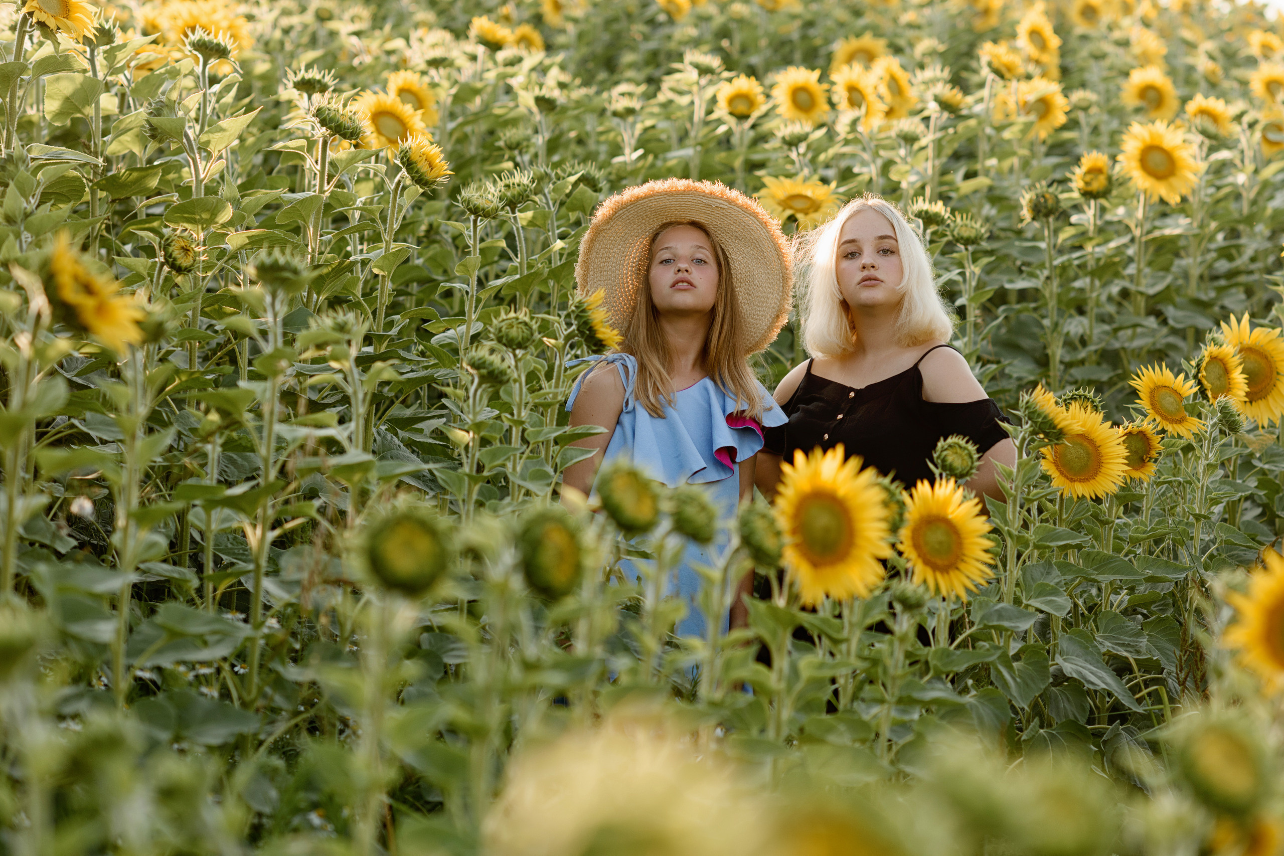 Фотосессия в подсолнухах. Профессиональный фотограф. Портрет, семья, дети