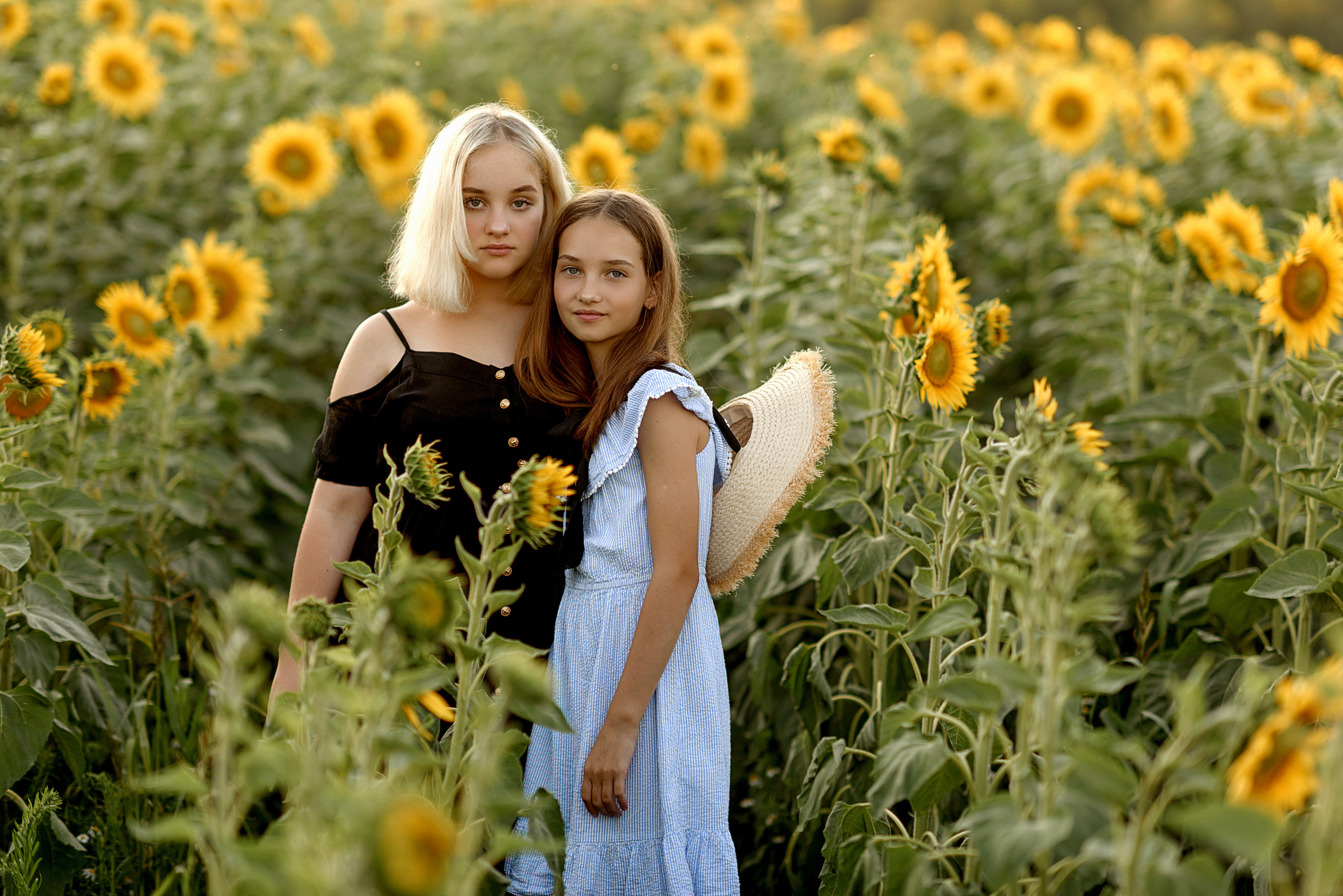 Фотосессия в подсолнухах. Профессиональный фотограф. Портрет, семья, дети