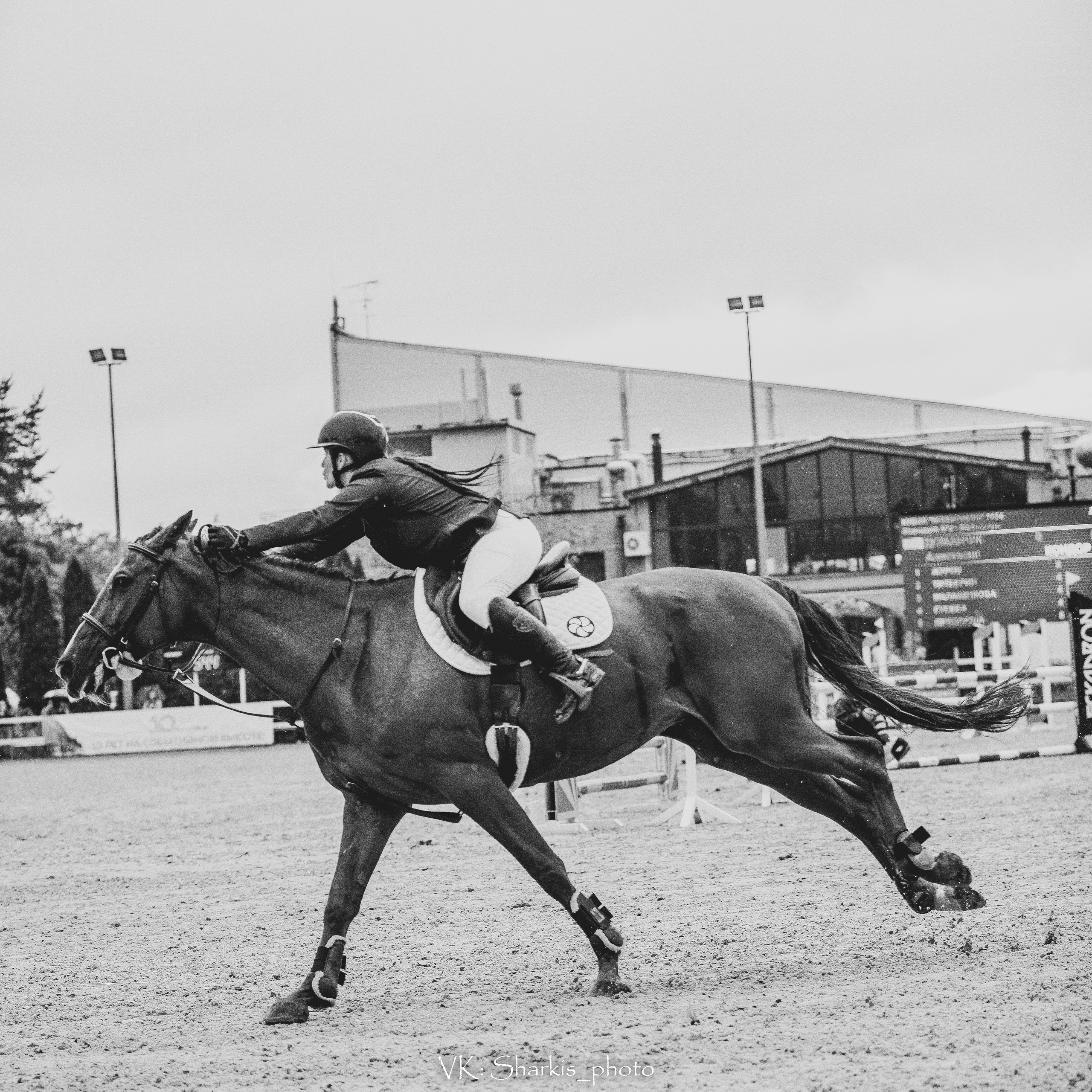 Лошади. Главная