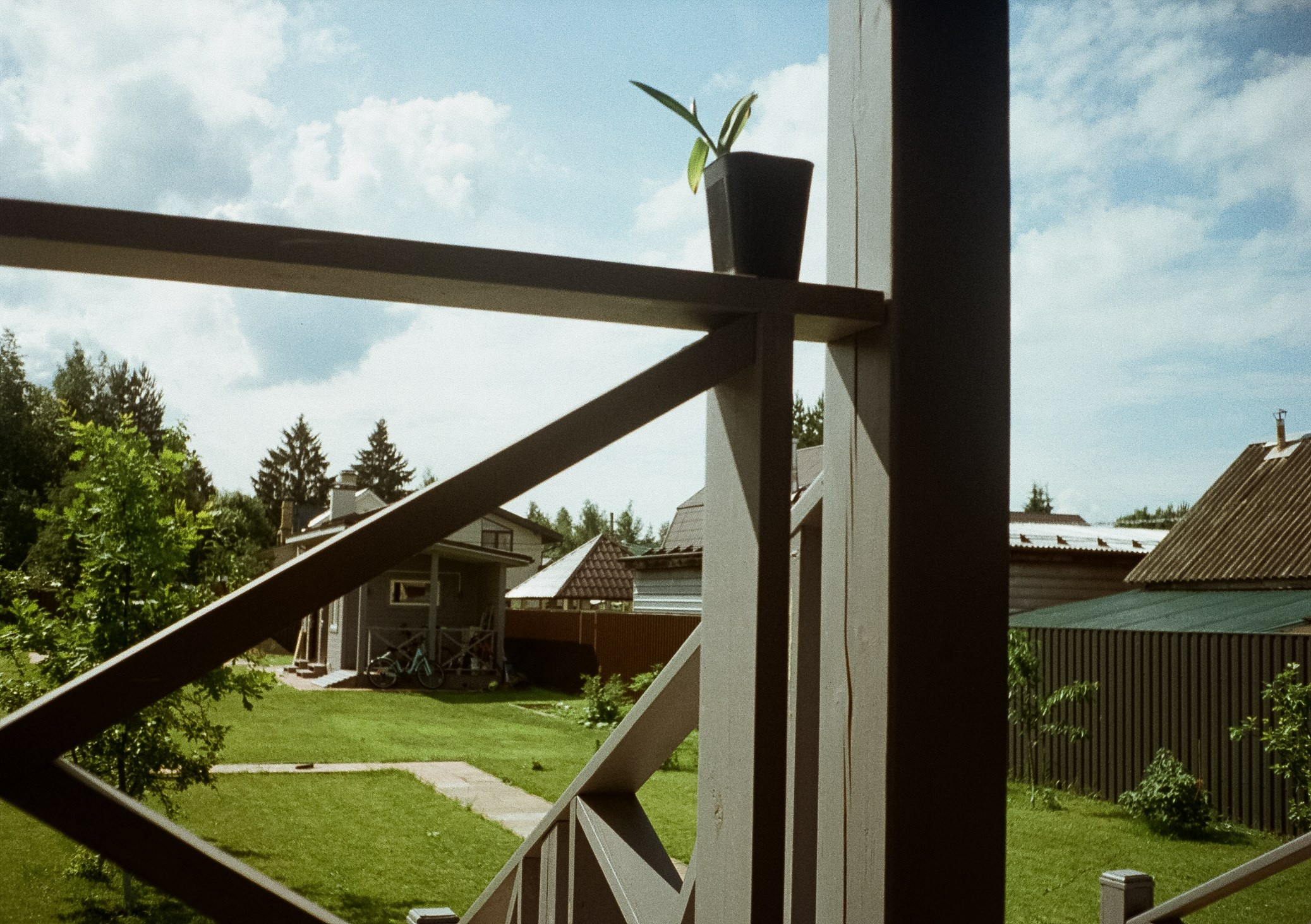 Солнечный июнь. Дача. Пионы. Фотограф-документалист Мария Осокина