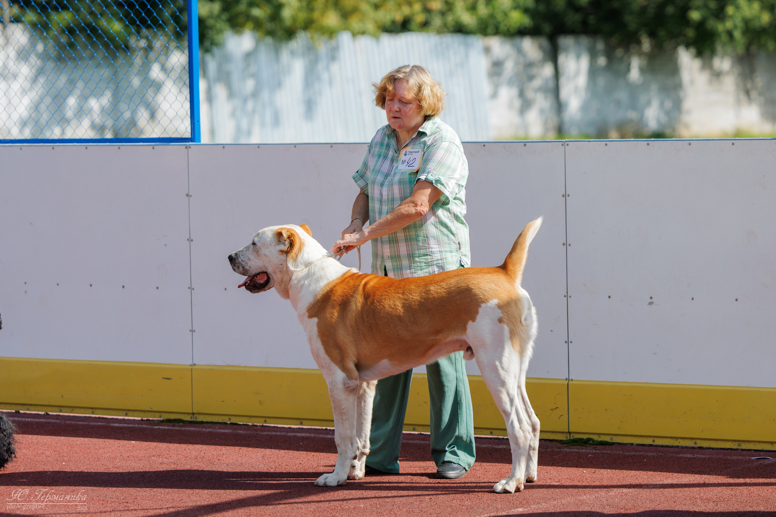 Коломна 30.08.2025. Фотограф-анималист Юлия Германика