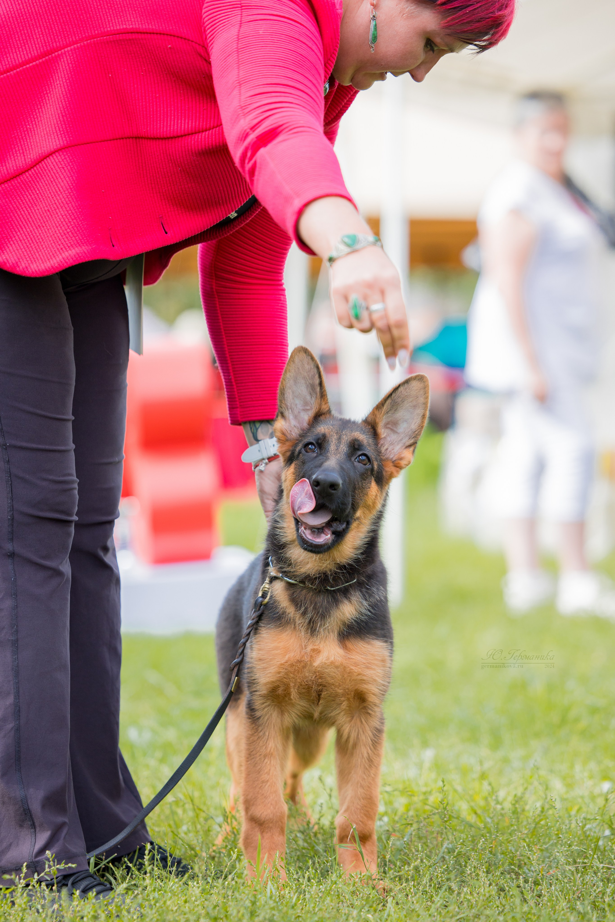 Астана 2хCACIB 17-18.08.2024. Фотограф-анималист Юлия Германика