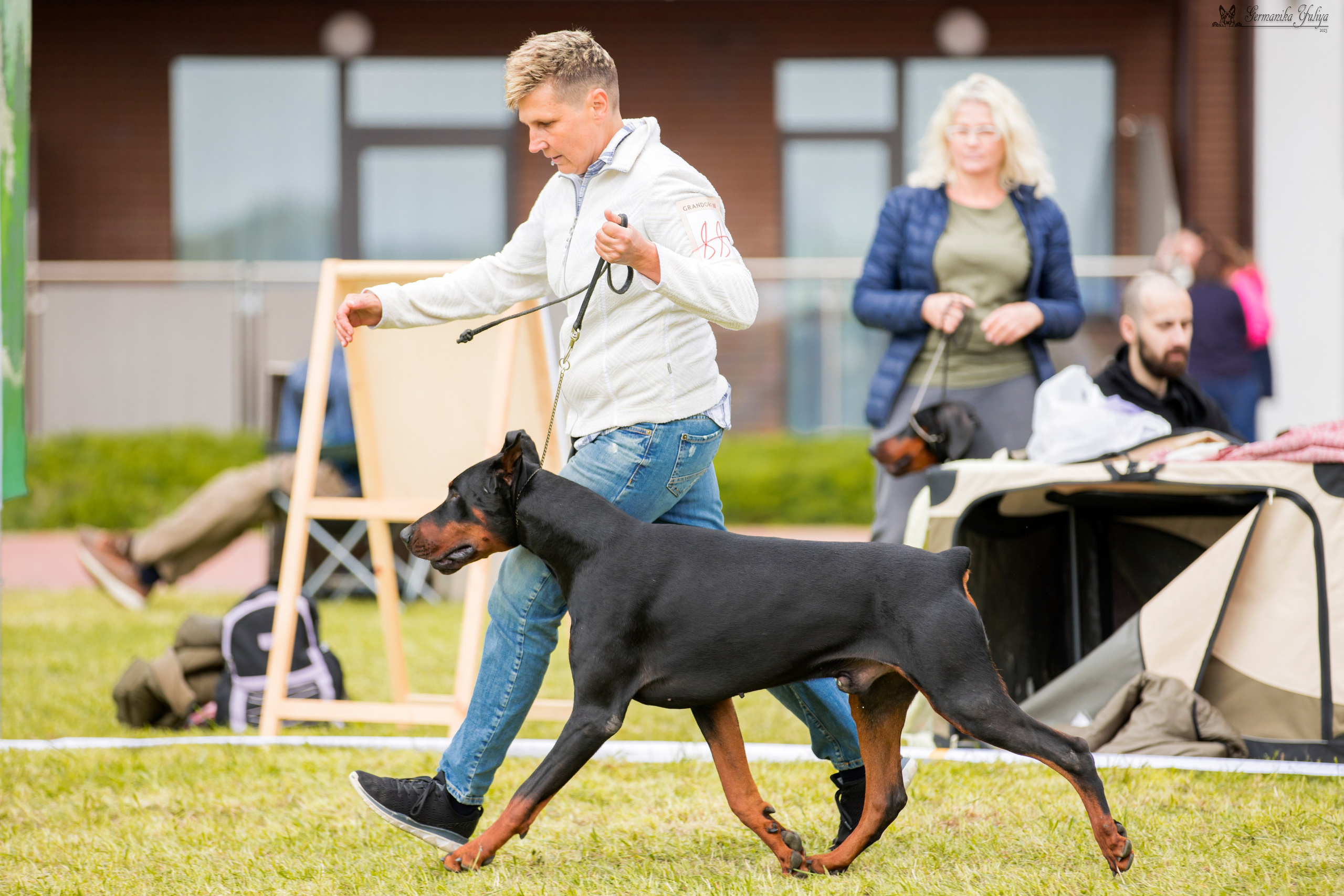 Переславль 9-10.09.2023. Фотограф-анималист Юлия Германика