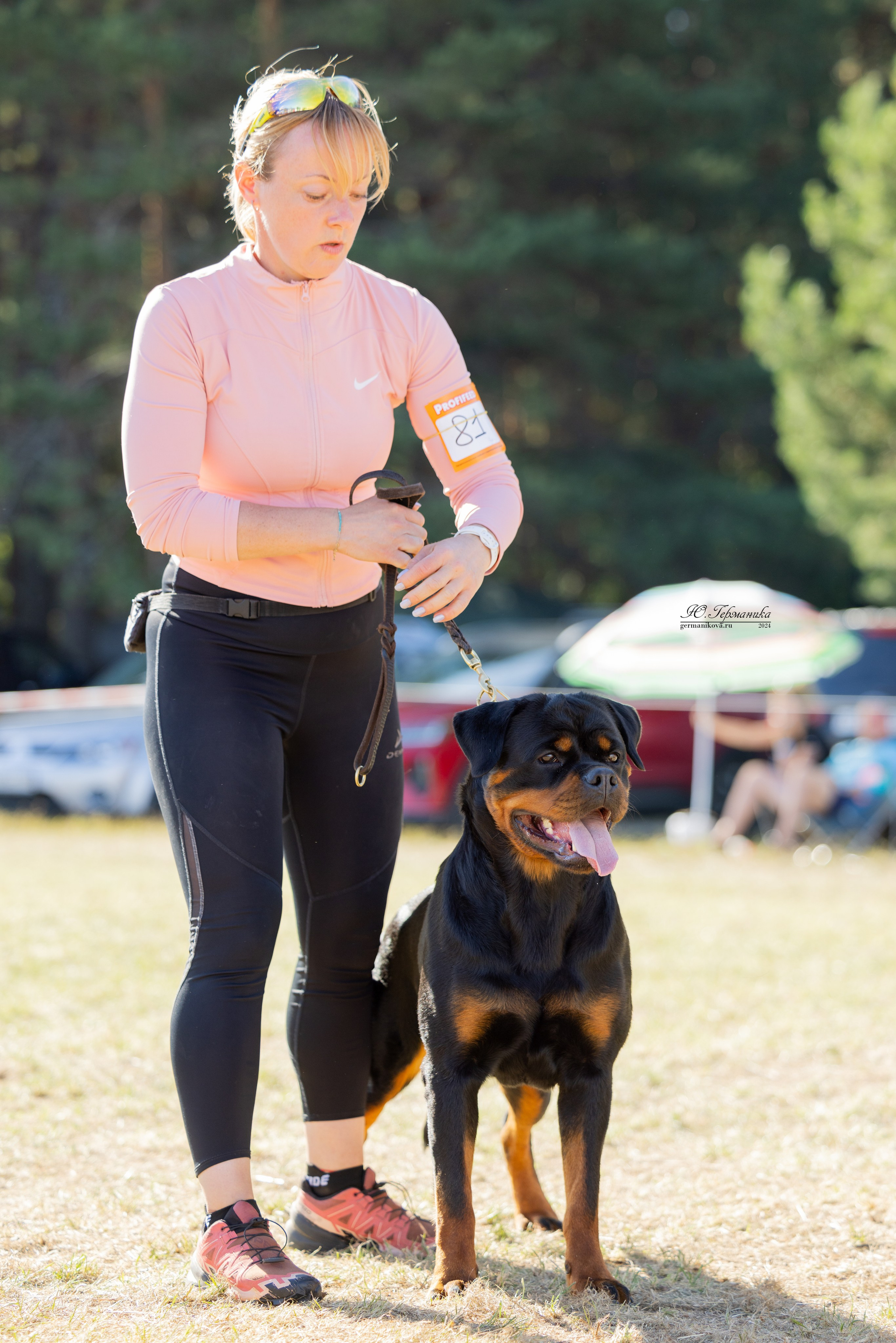 ПК и КЧК ротвейлеры Тверь 6-7.07.2024. Фотограф-анималист Юлия Германика
