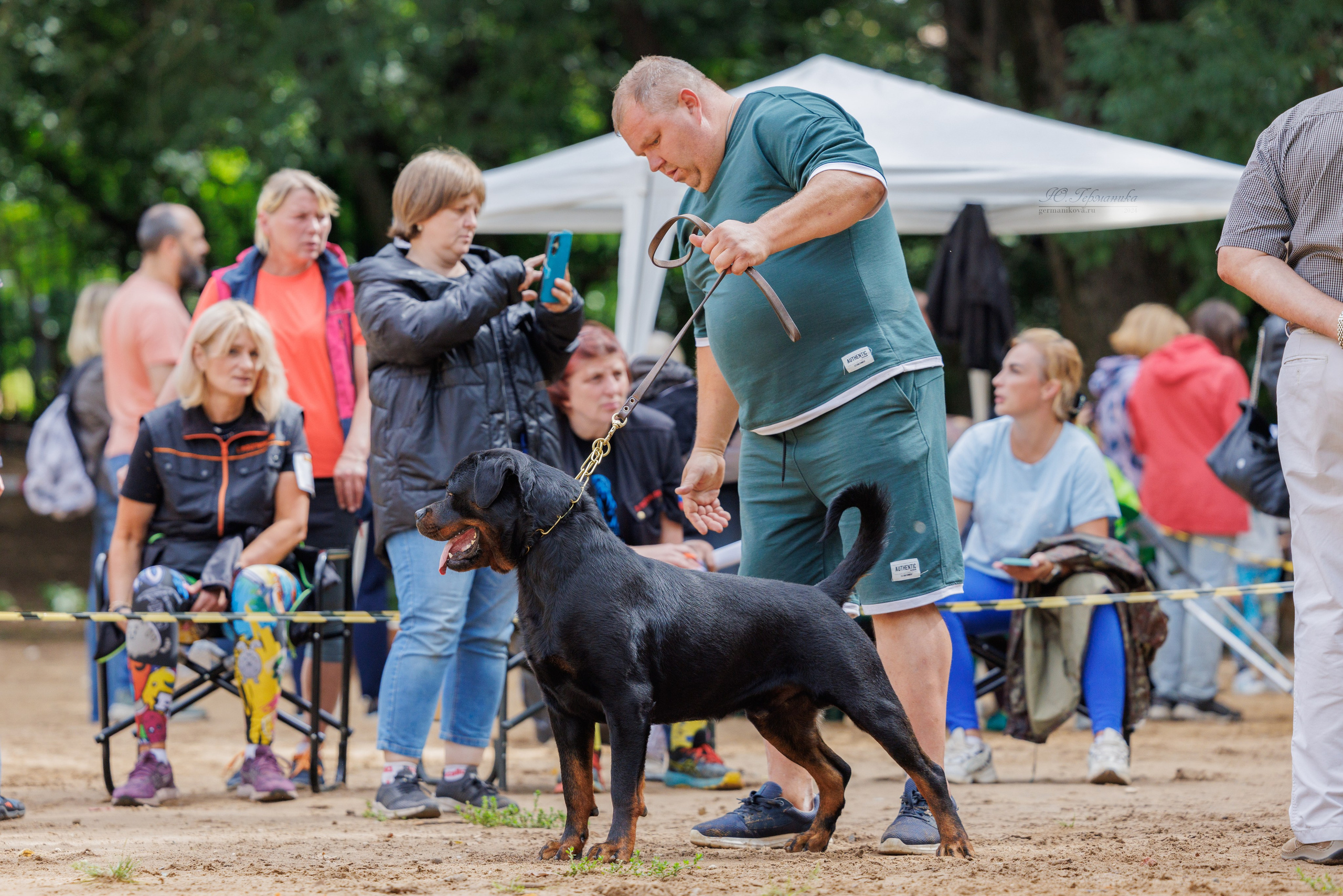 Рязань-Ховрино 10-11.08.2024 3хмоно ротвейлеров. Фотограф-анималист Юлия Германика