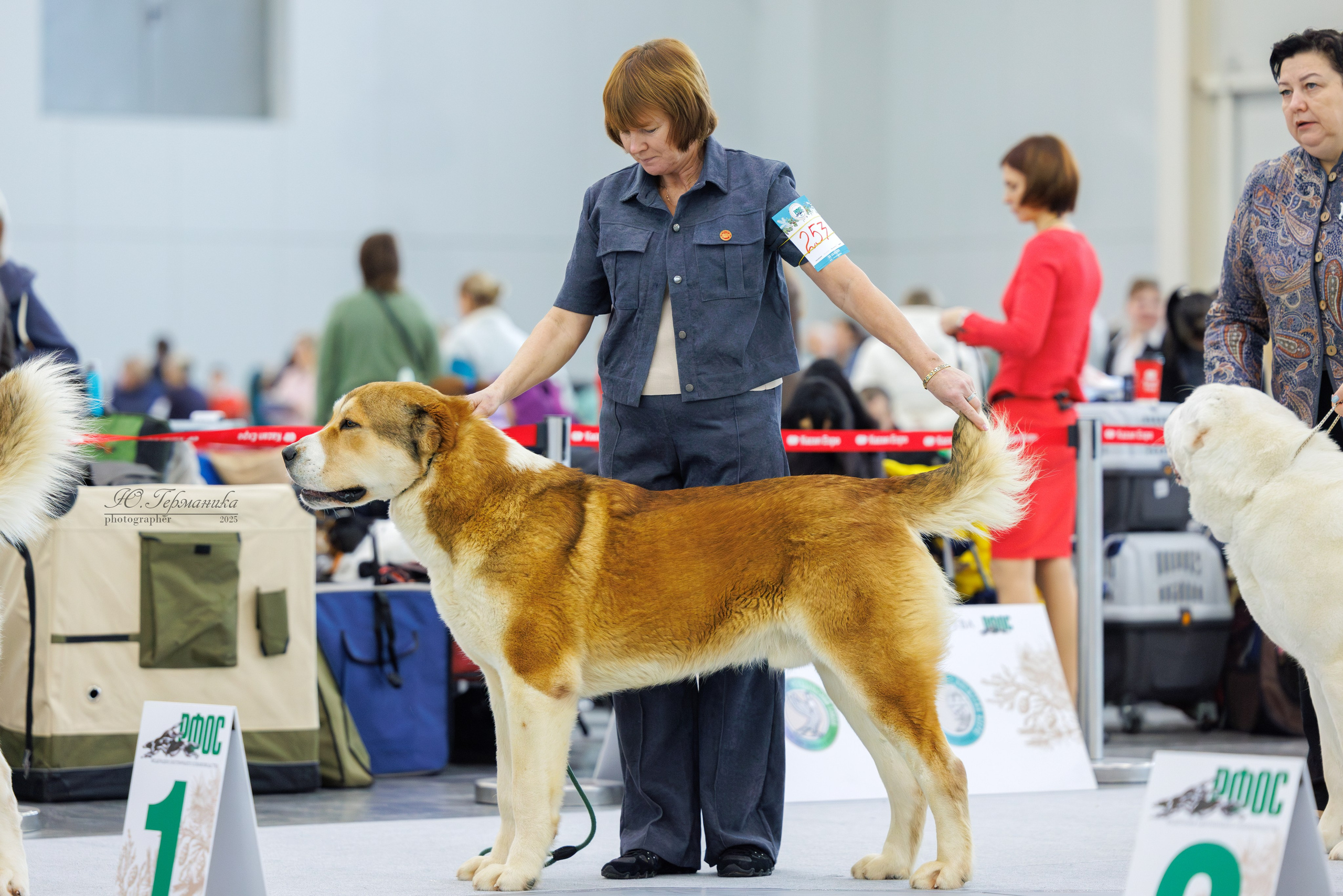 Сабанеевка Казань 25-26.01.2025. Фотограф-анималист Юлия Германика
