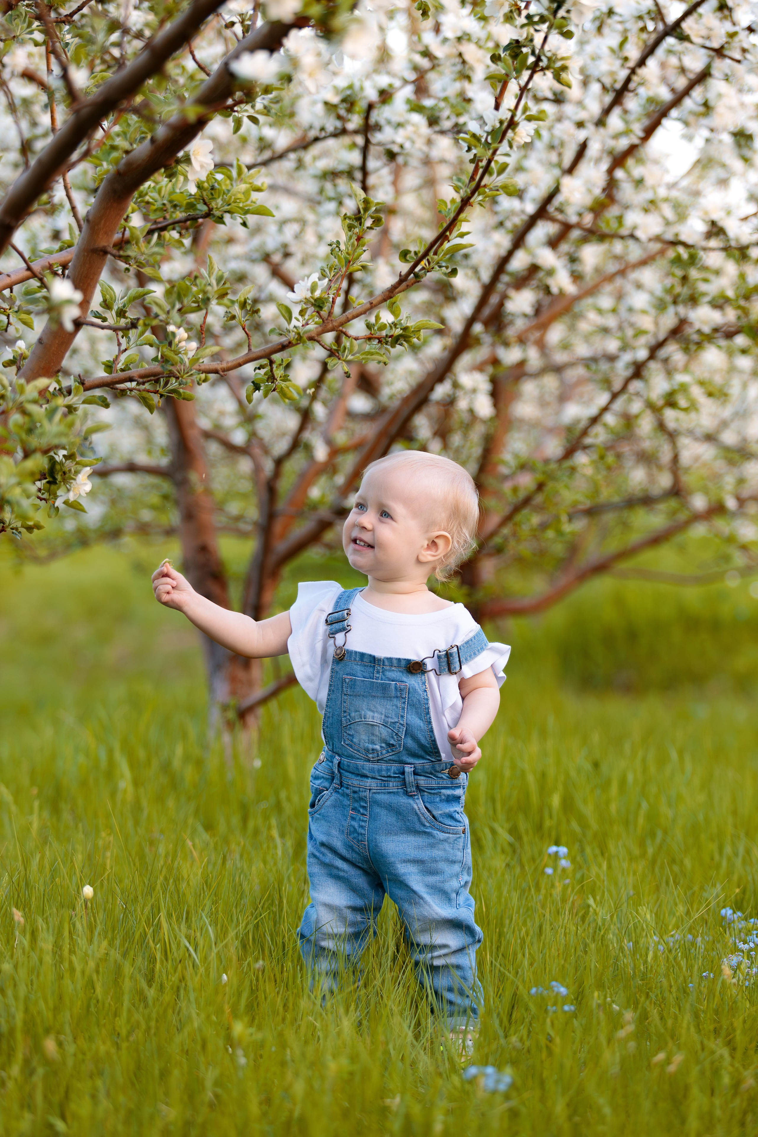 Надежда и Антон. Семейный Фотограф в Красноярске Крохалев Сергей