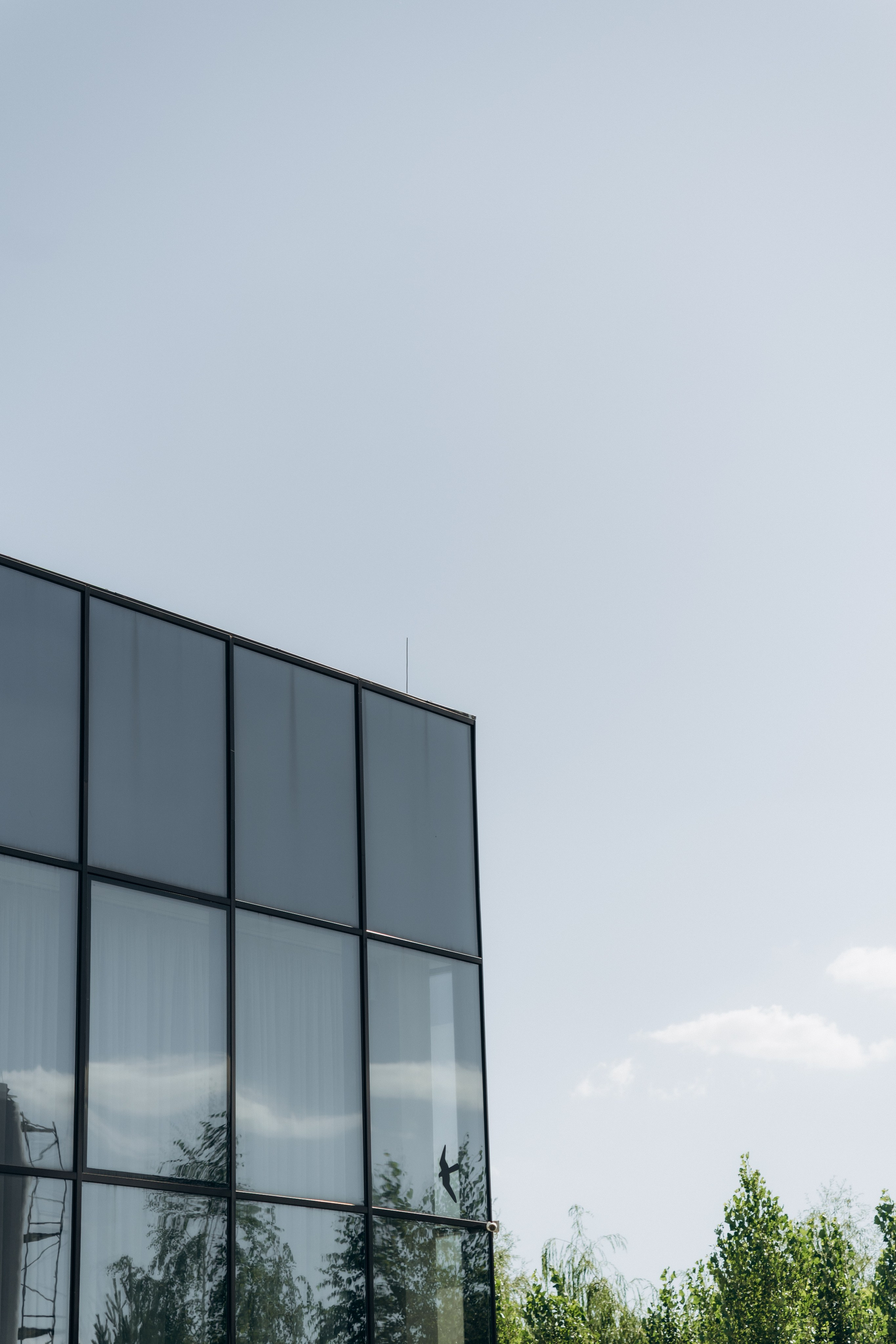 Костя и Эвелина. Ирина Гонтарева|Фотограф|Белгород