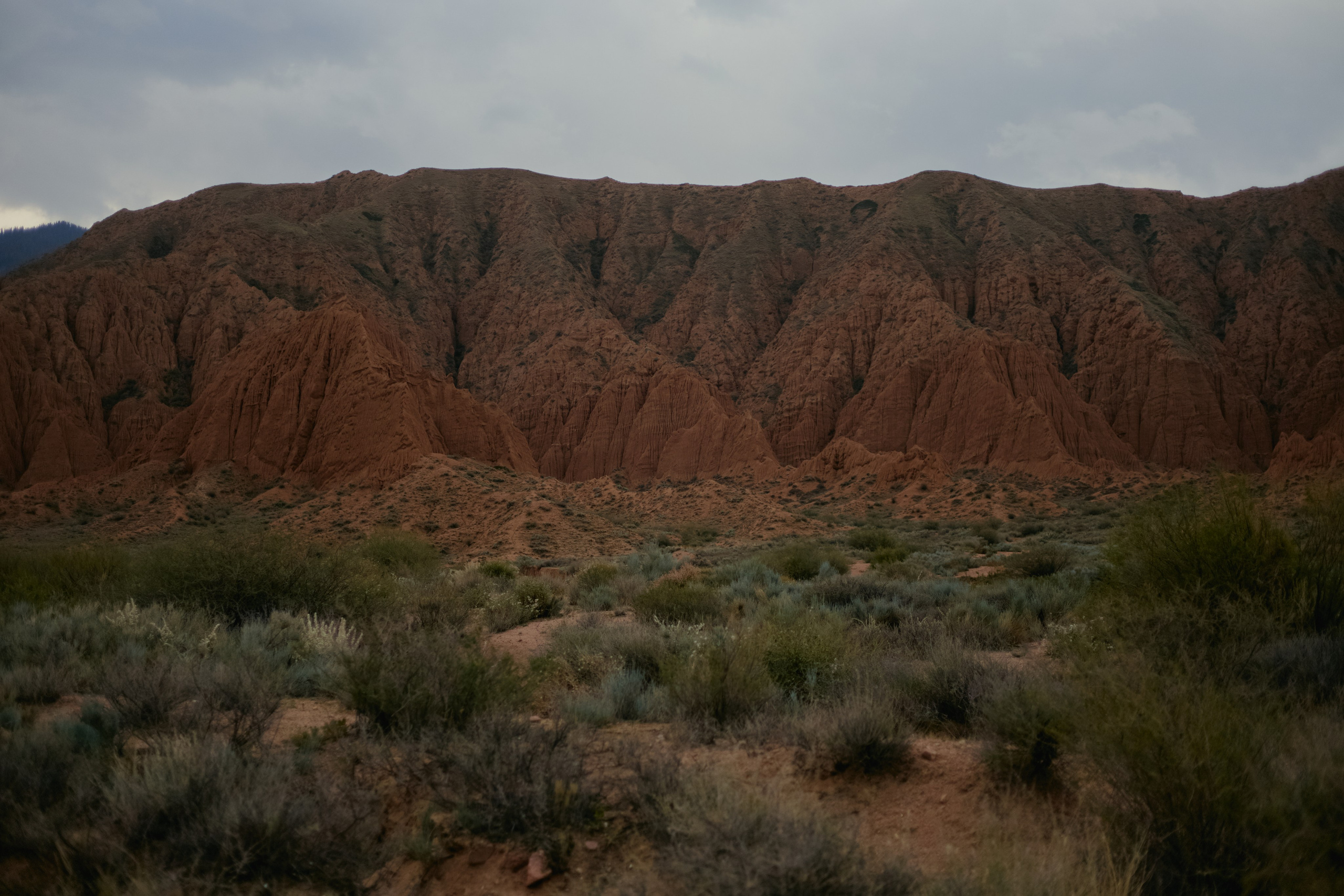 Кыргызтан. Профессиональный Фотограф во Владимире, в Москве и в Суздале — Полина Романычева