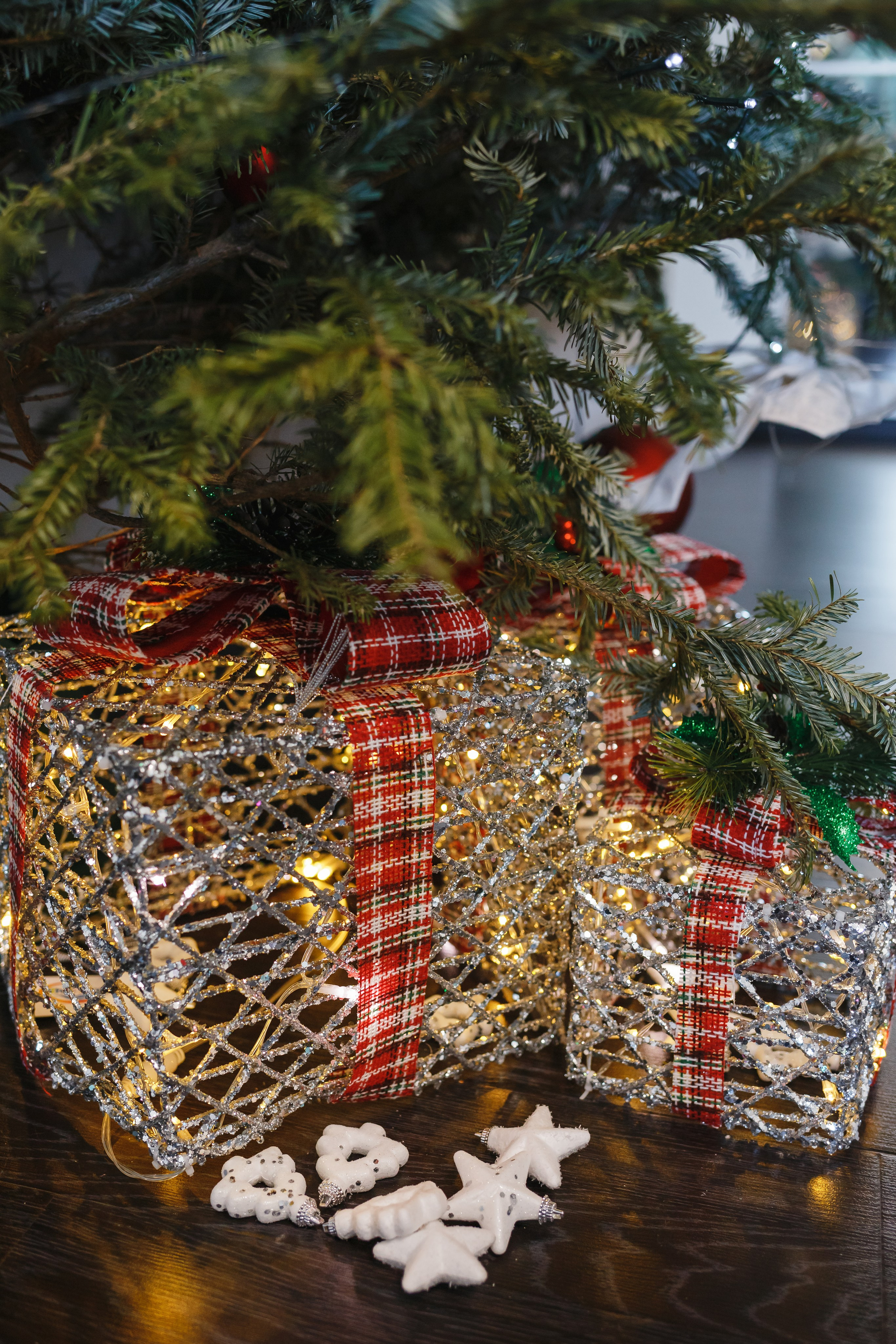 Карина и ее семья. Семейный фотограф Николаева Ольга