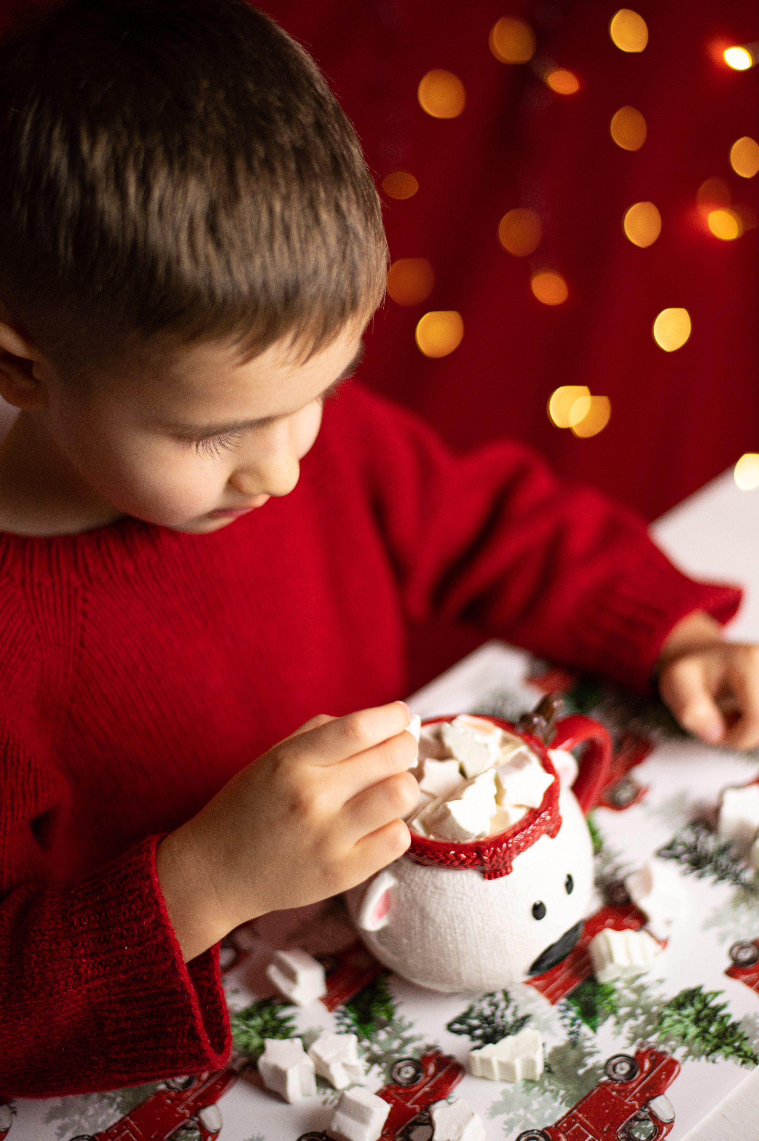 Какао с маршмеллоу. Фотограф Санкт-Петербург | Дарья Першина