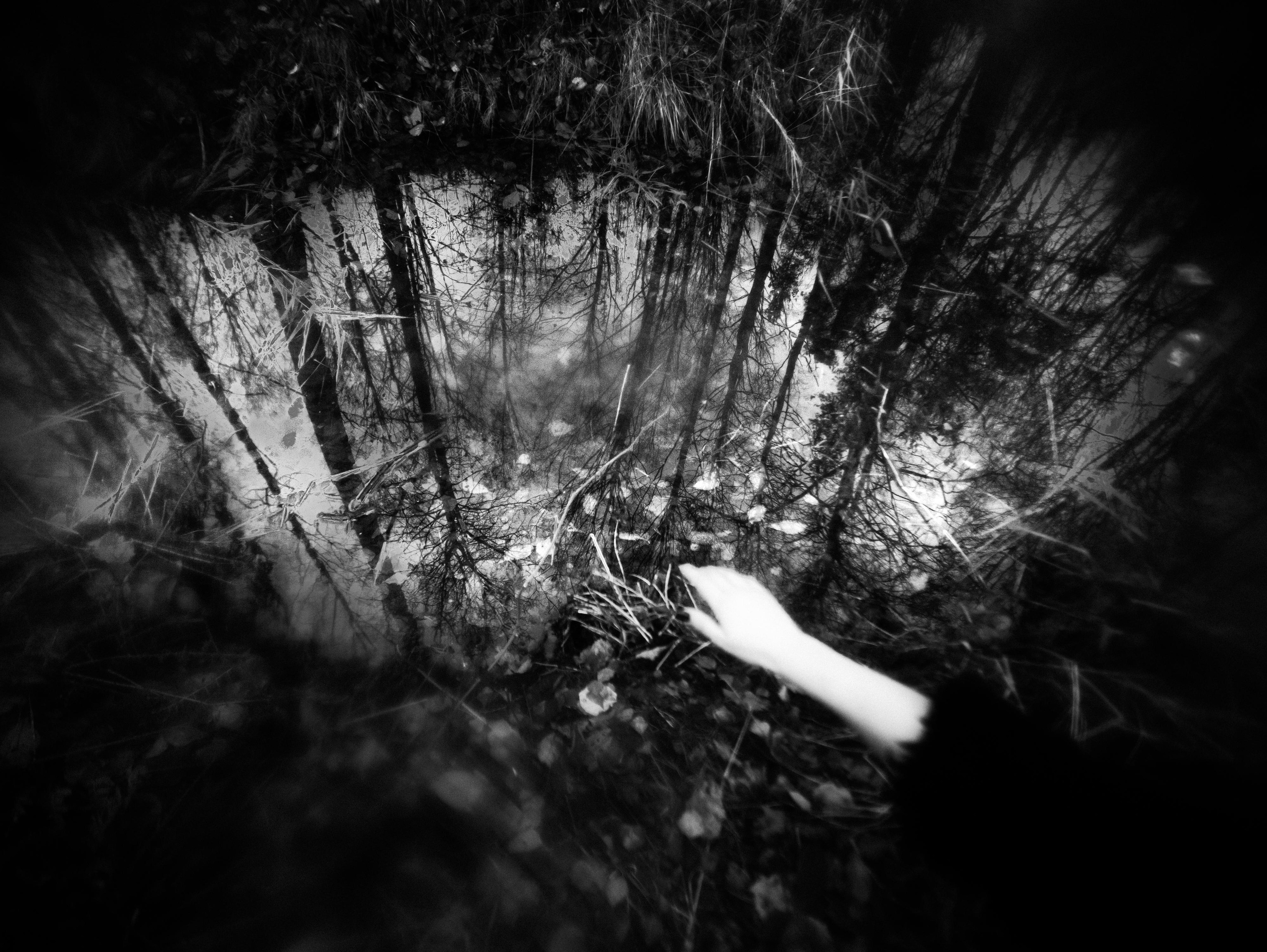 Shelter. Фотограф Мария Немм