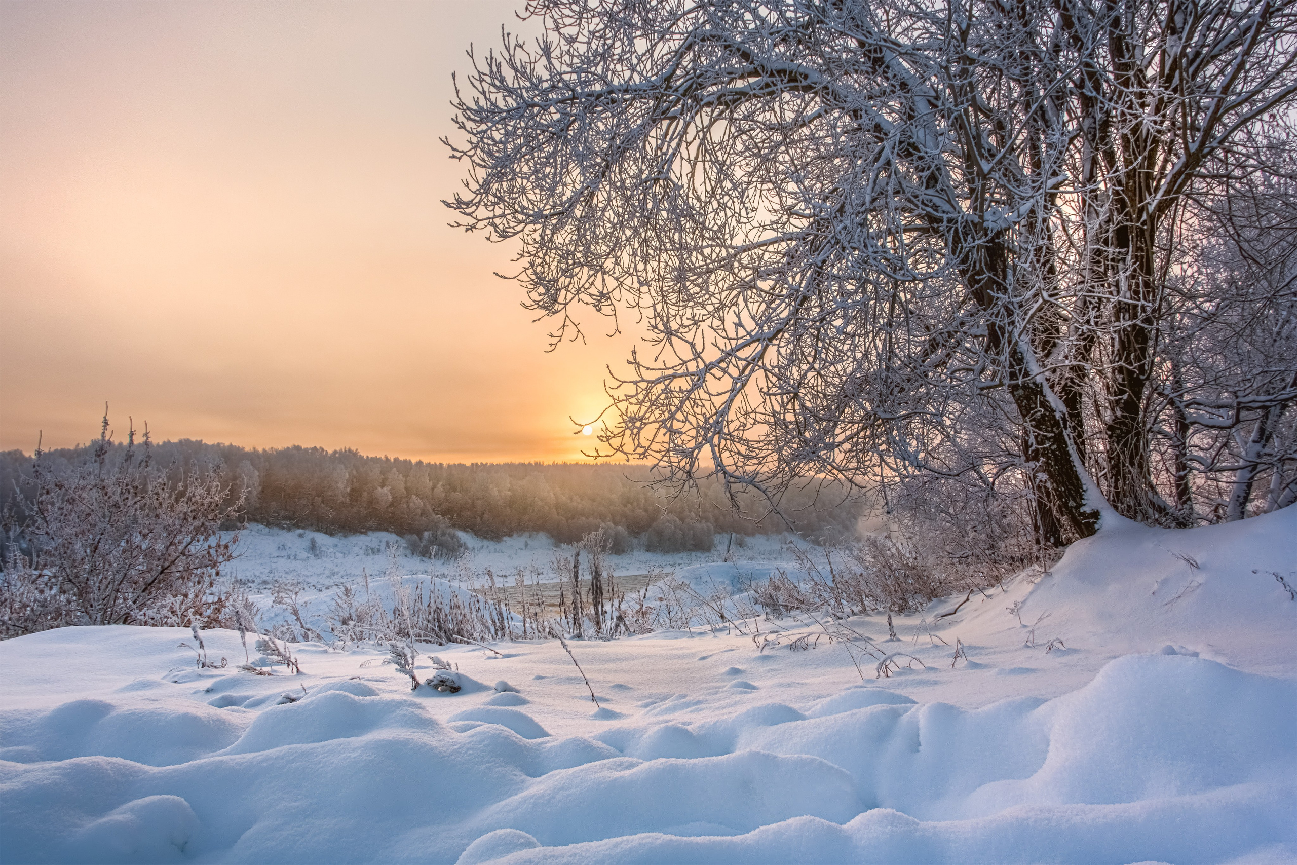 Nature of the Staritsa. Winter. Site of landscape photographer Pavel Krainikov