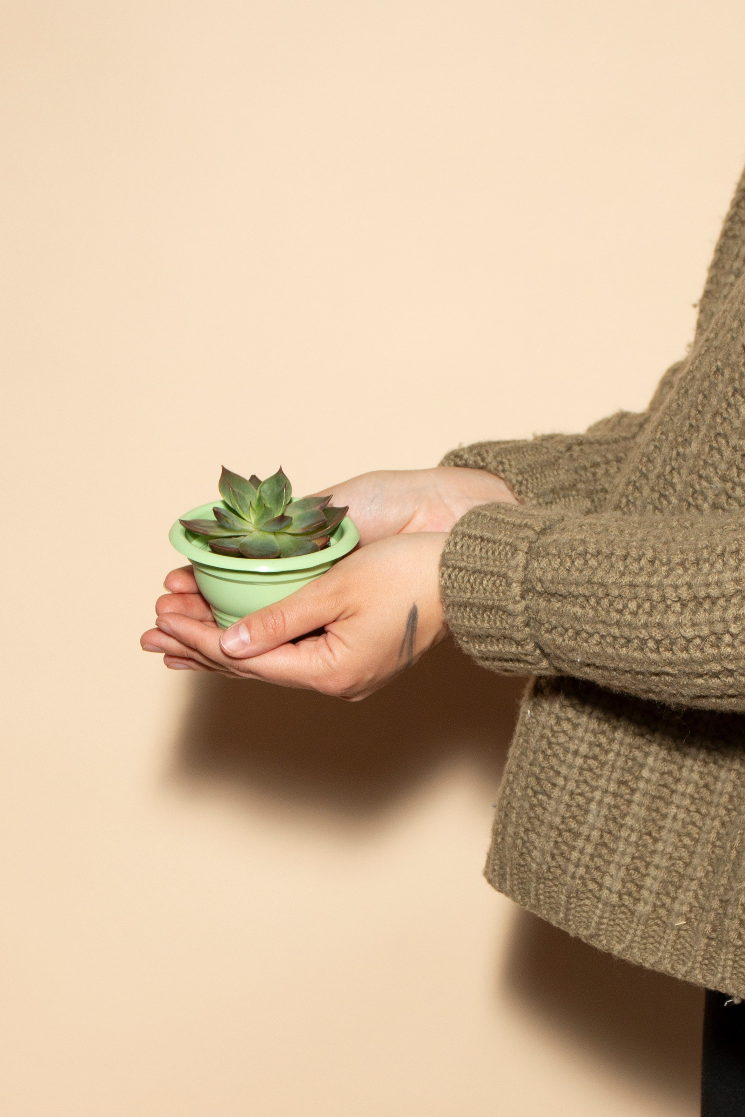 Цветочные горшки. Фотограф Злата Спицына