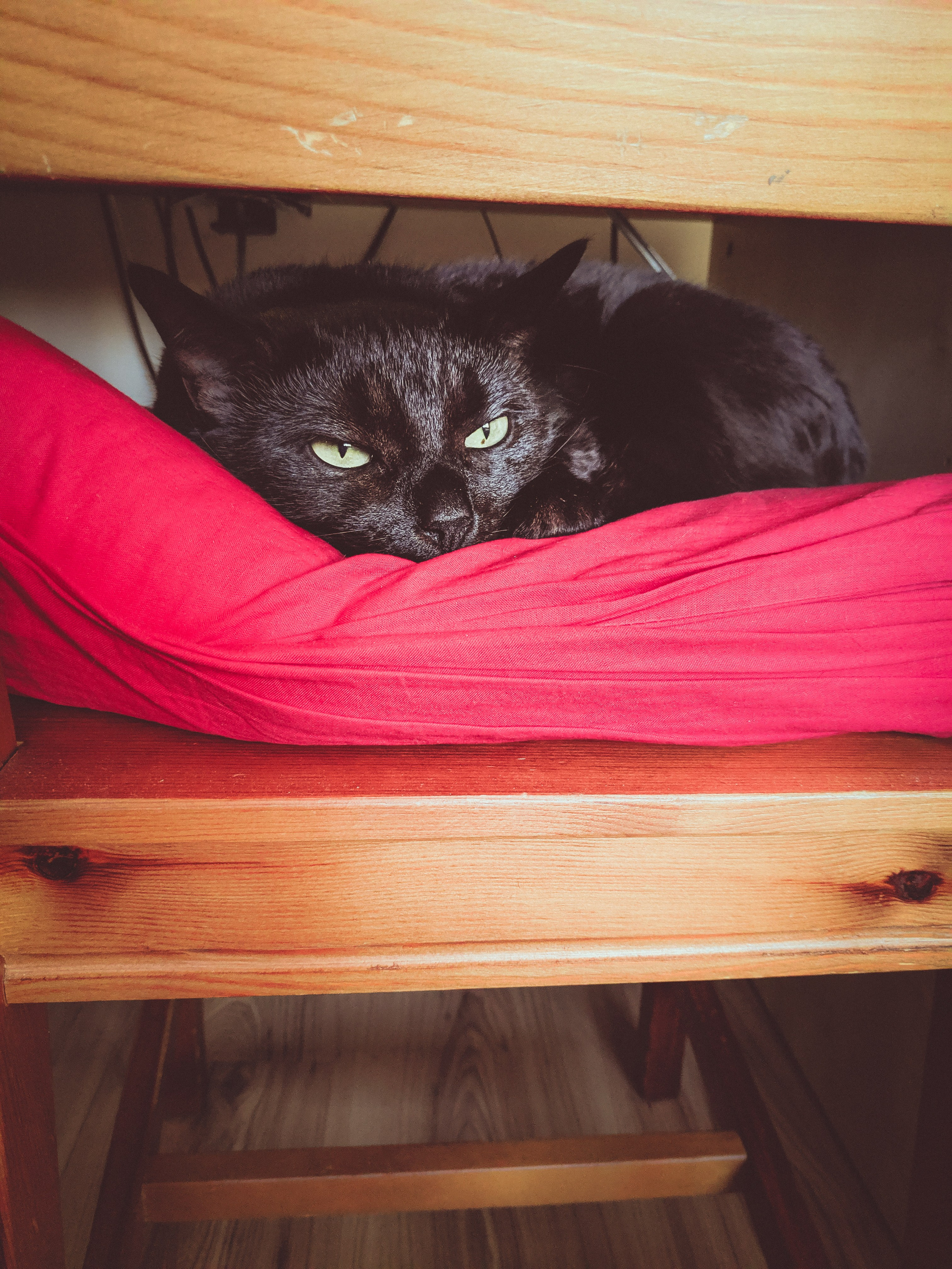 Зима под одеялом. Soulstamina ~ graphic designer & visual artist from St.Petersburg