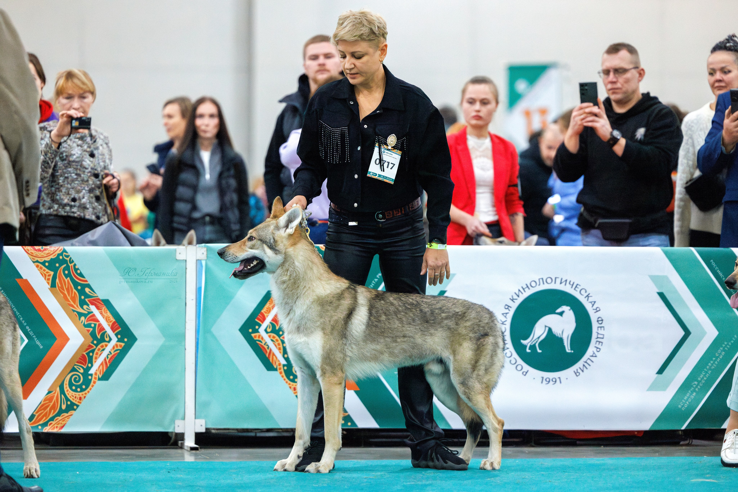 Евразия 16-17.11.2024. Фотограф-анималист Юлия Германика