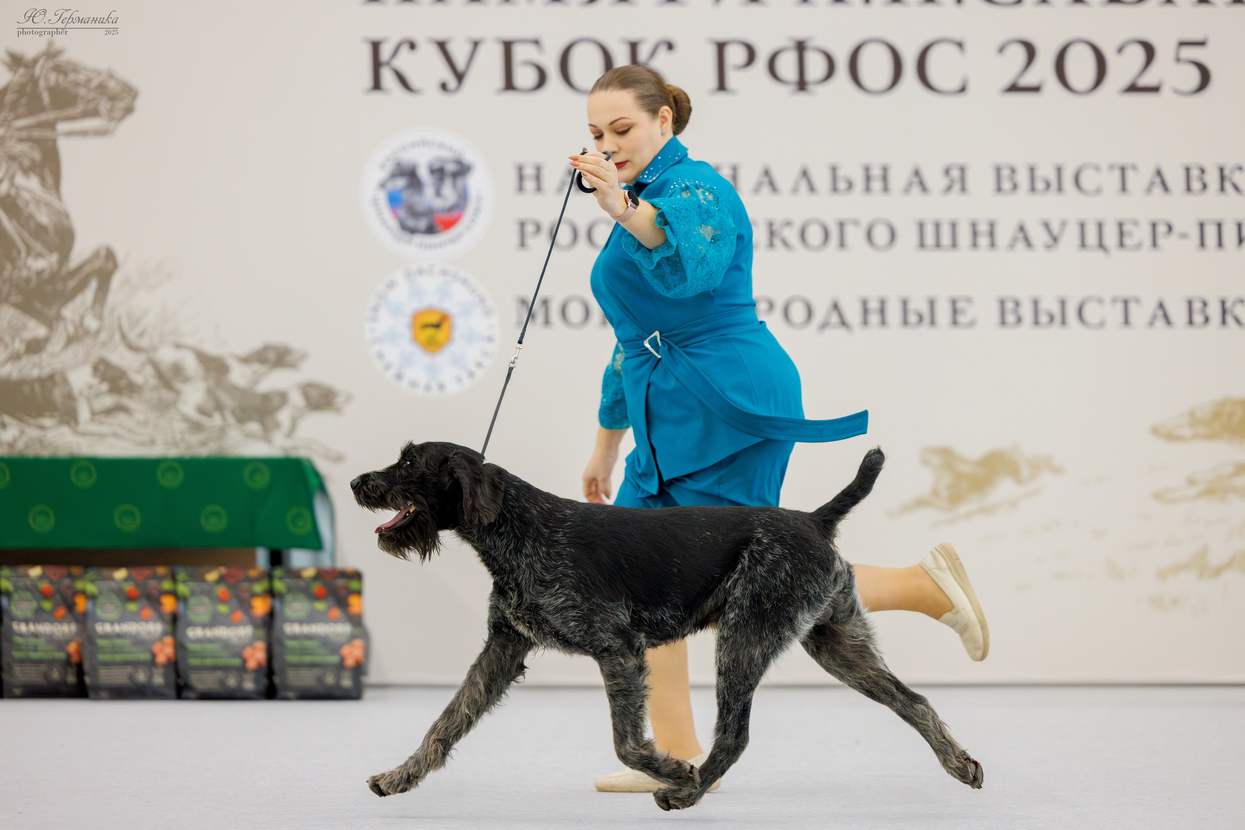 Сабанеевка Казань 25-26.01.2025. Фотограф-анималист Юлия Германика