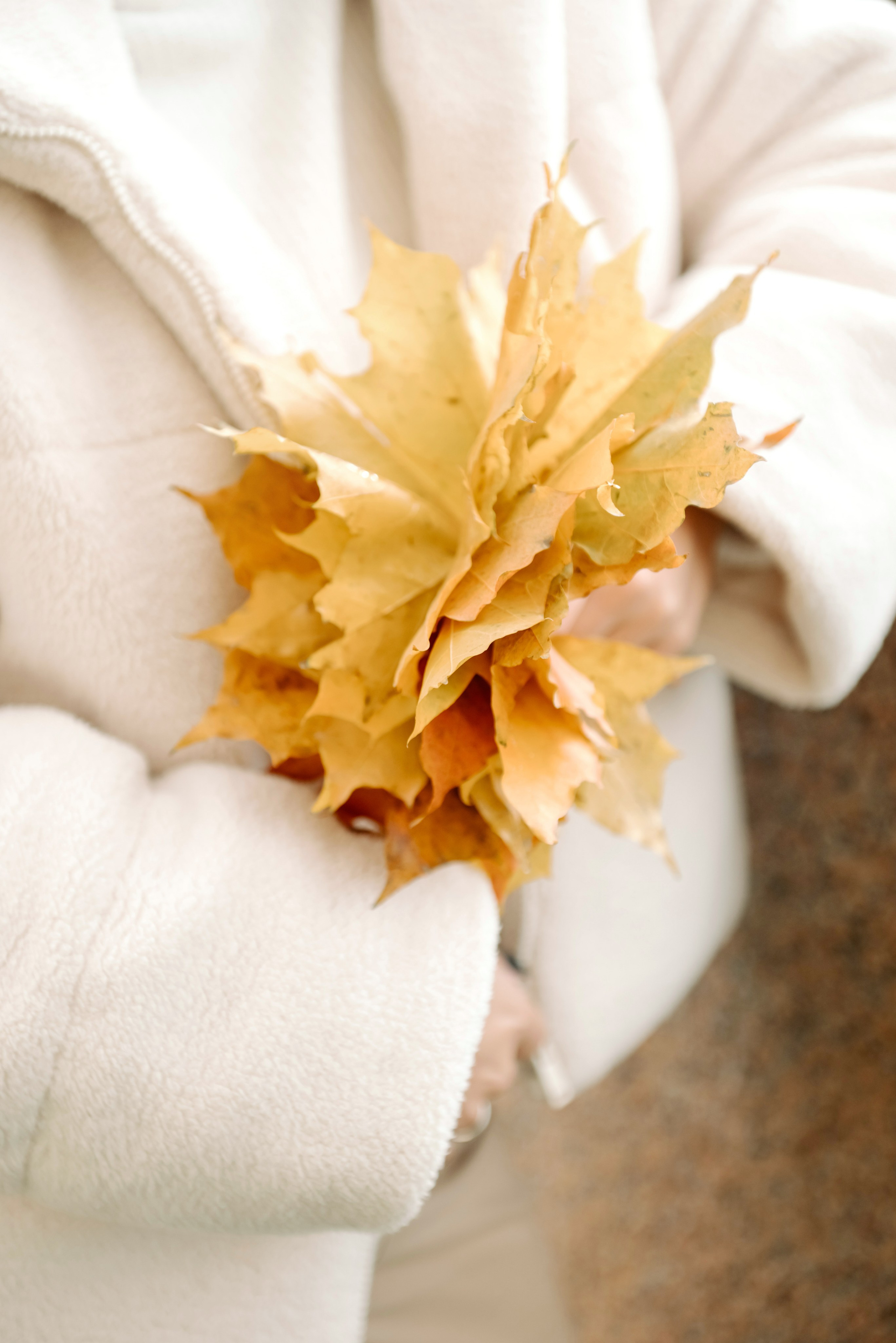 Осенняя фотосессия в Питере Новая Голландия. Свадебный и сеейный фотограф в Санкт-Петербурге Елена Худякова