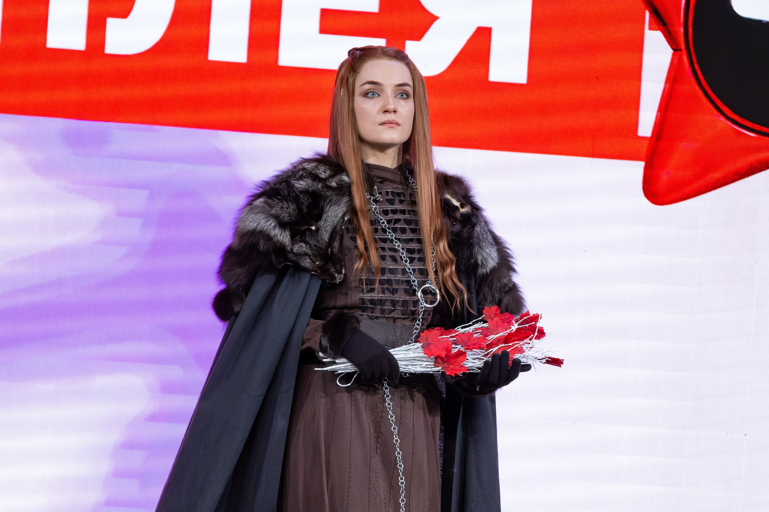 Сцена РЭД ЭКСПО 2024. Косплей фотограф