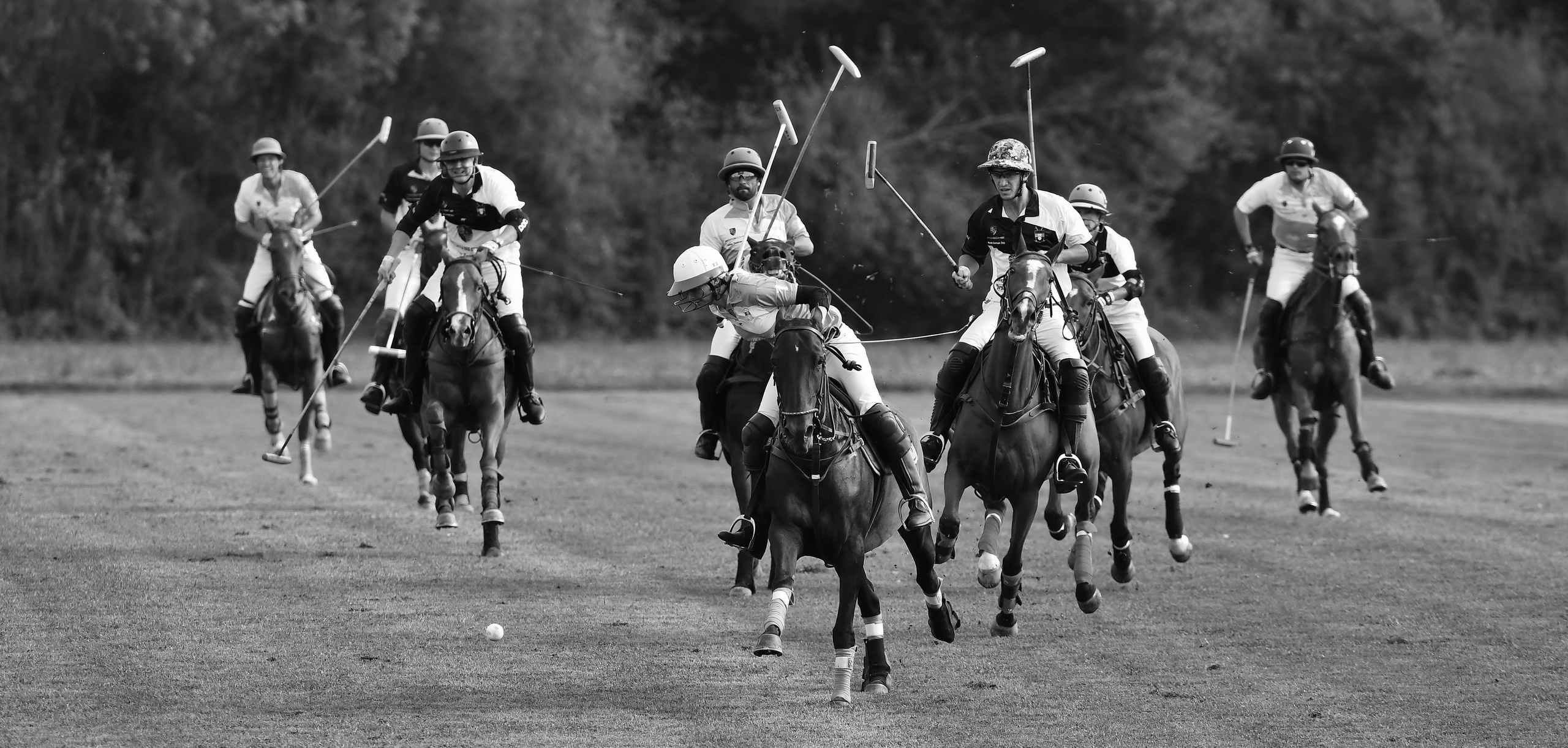 Polo art photos. Art photos of horses — ARTUR BABOEV | Photographer