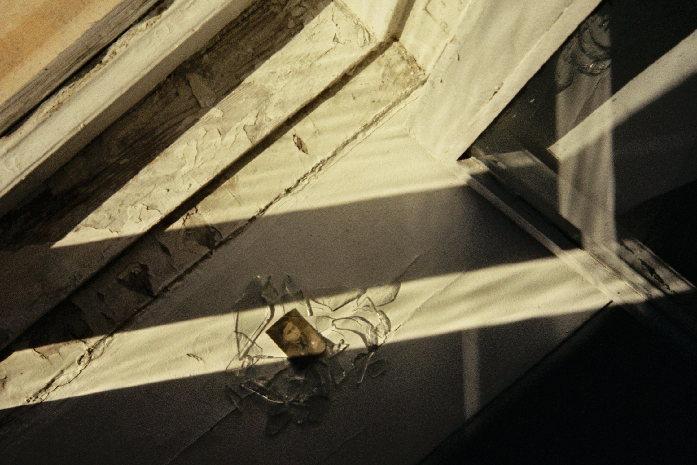 So far, alive and well. Daria Kryl