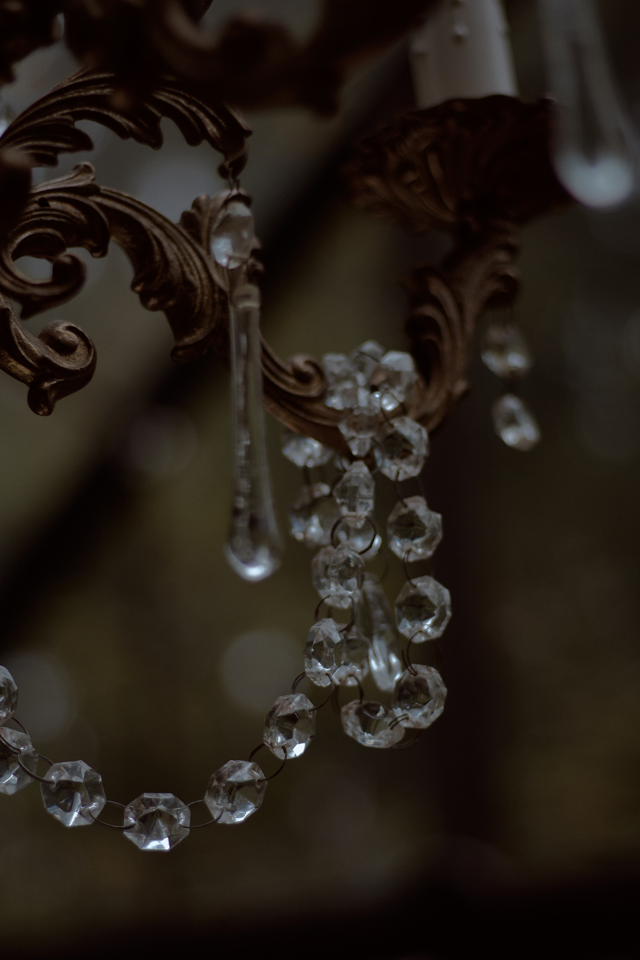 Стеклянная Оранжерея. Фотограф лавстори Москва/МО Приятелева Ангелина