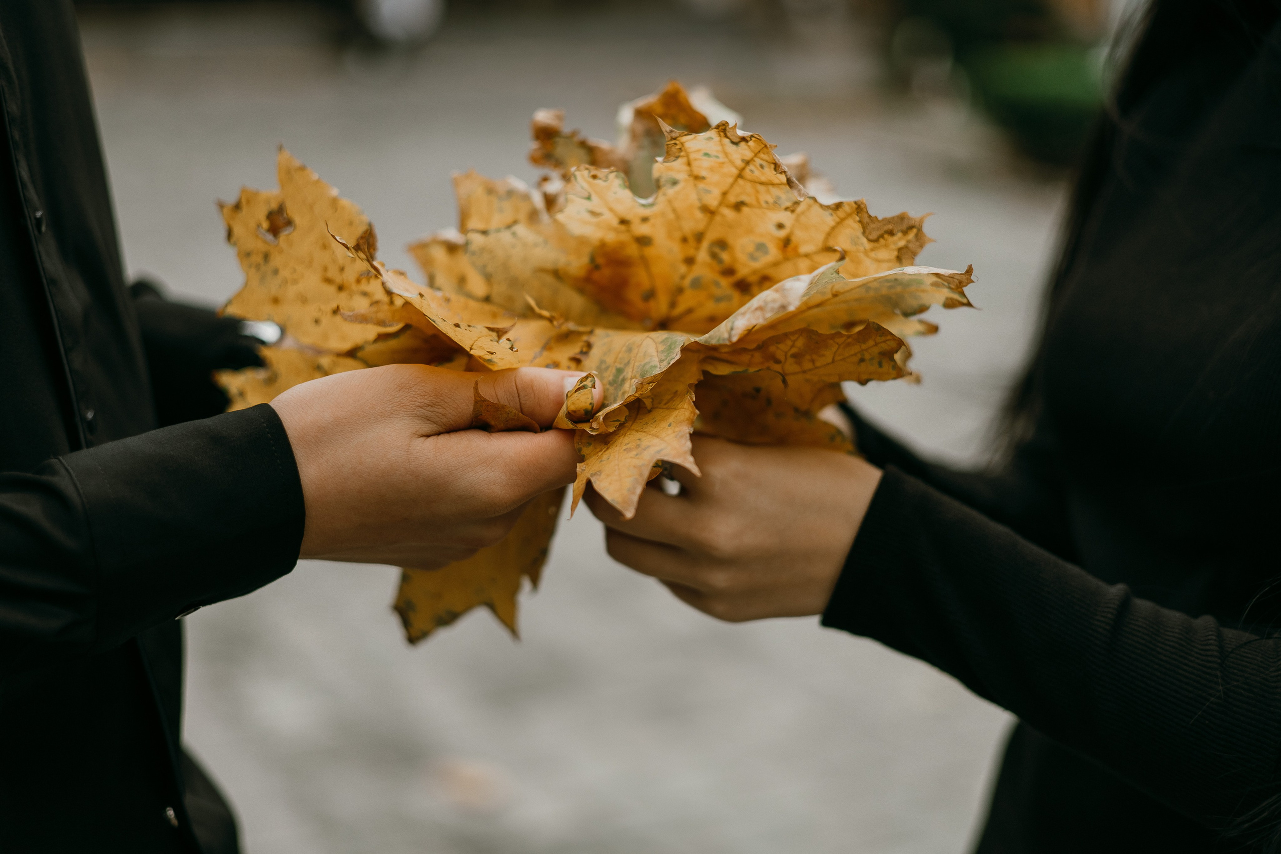 A&T. Дарья Нерсесян — фотограф в Ростове-на-Дону
