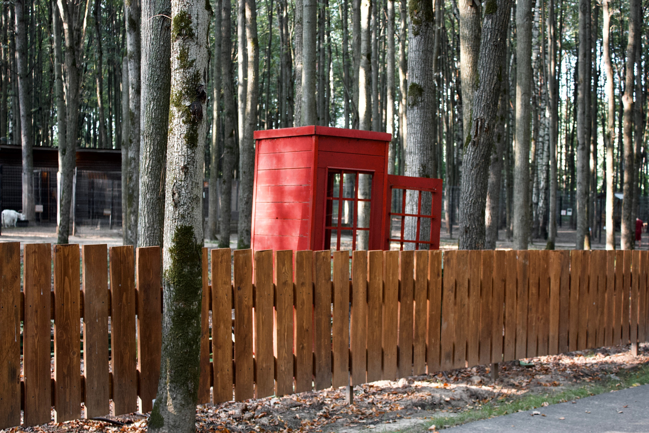 Анималистическая. KUPINИ | ФОТО — сайт портфолио по мультижанровой съёмке | фотограф Сергей Мар