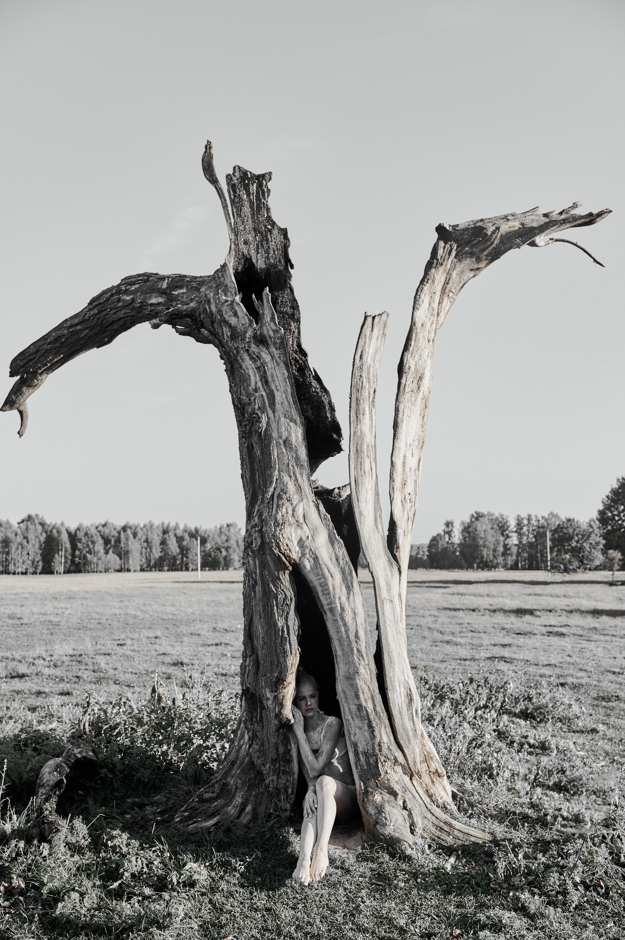 Каркас. Коммерческий фотограф в Казани Ксения Добролюбова
