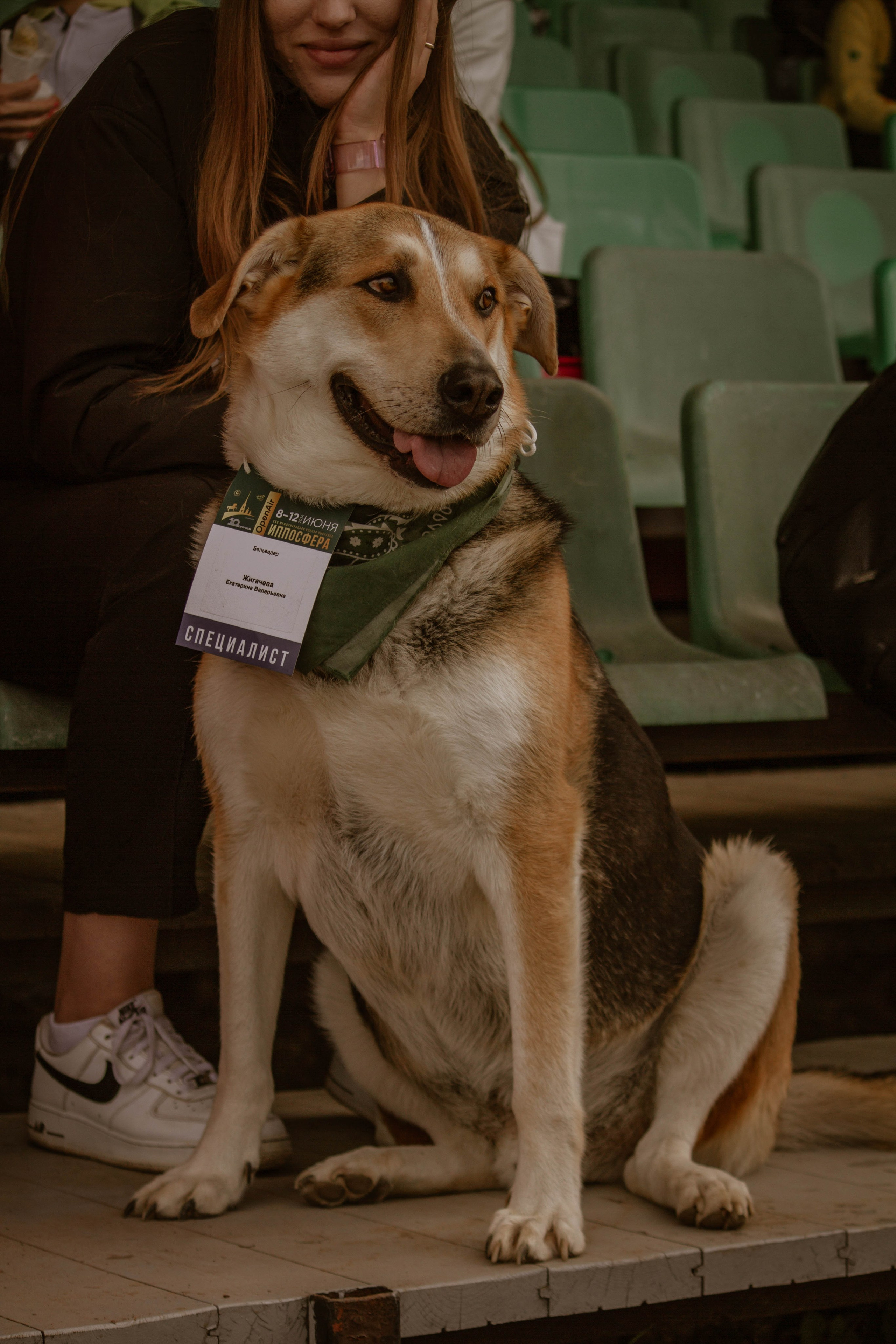 ИППОСФЕРА — Международная конная выставка. Создадим шедевр? Виталина и её фотоискусство