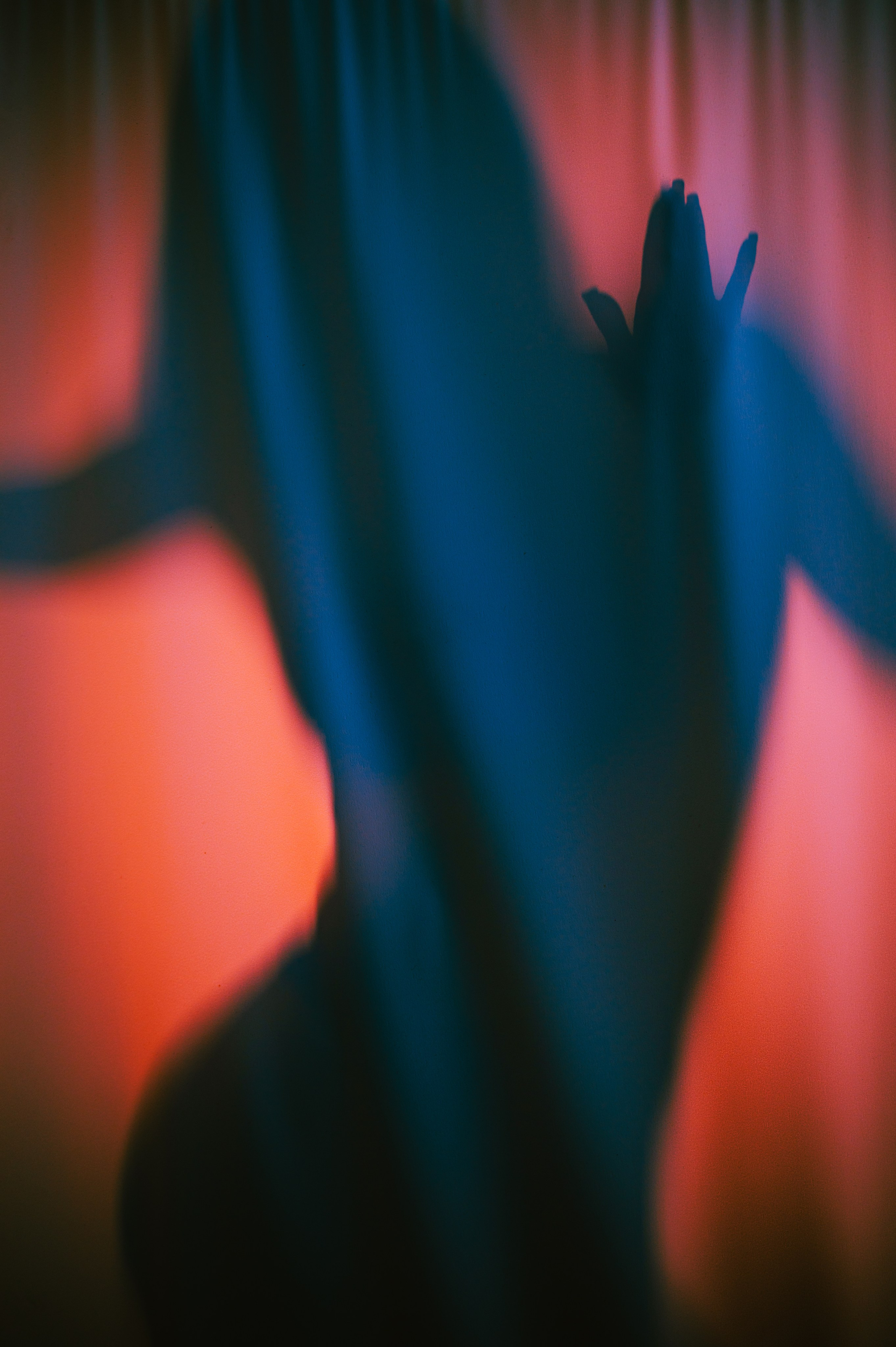 Фотограф/видеограф Богдан Голованов