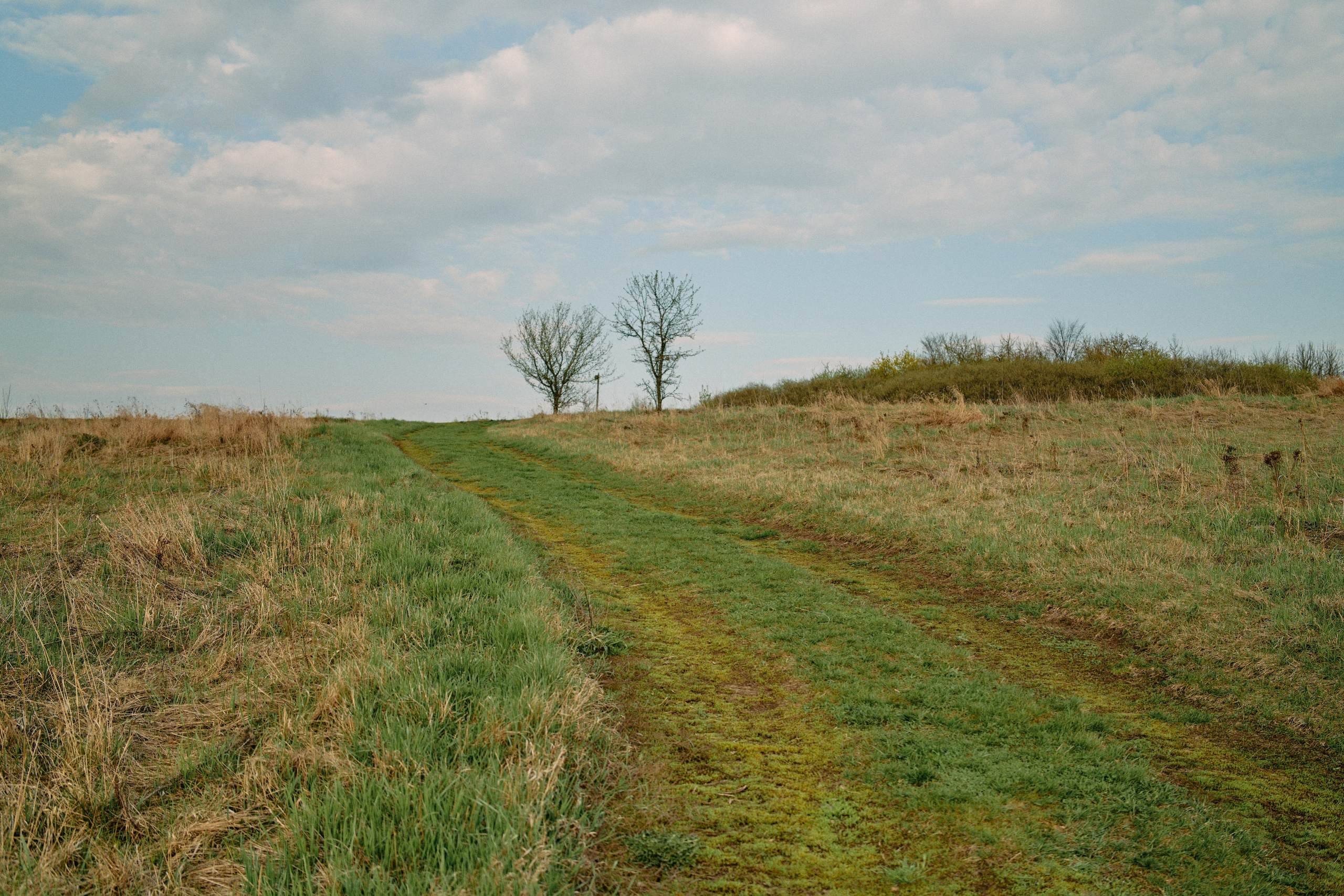 Бутик-отель Поле летом. Профессиональный Фотограф во Владимире, в Москве и в Суздале — Полина Романычева