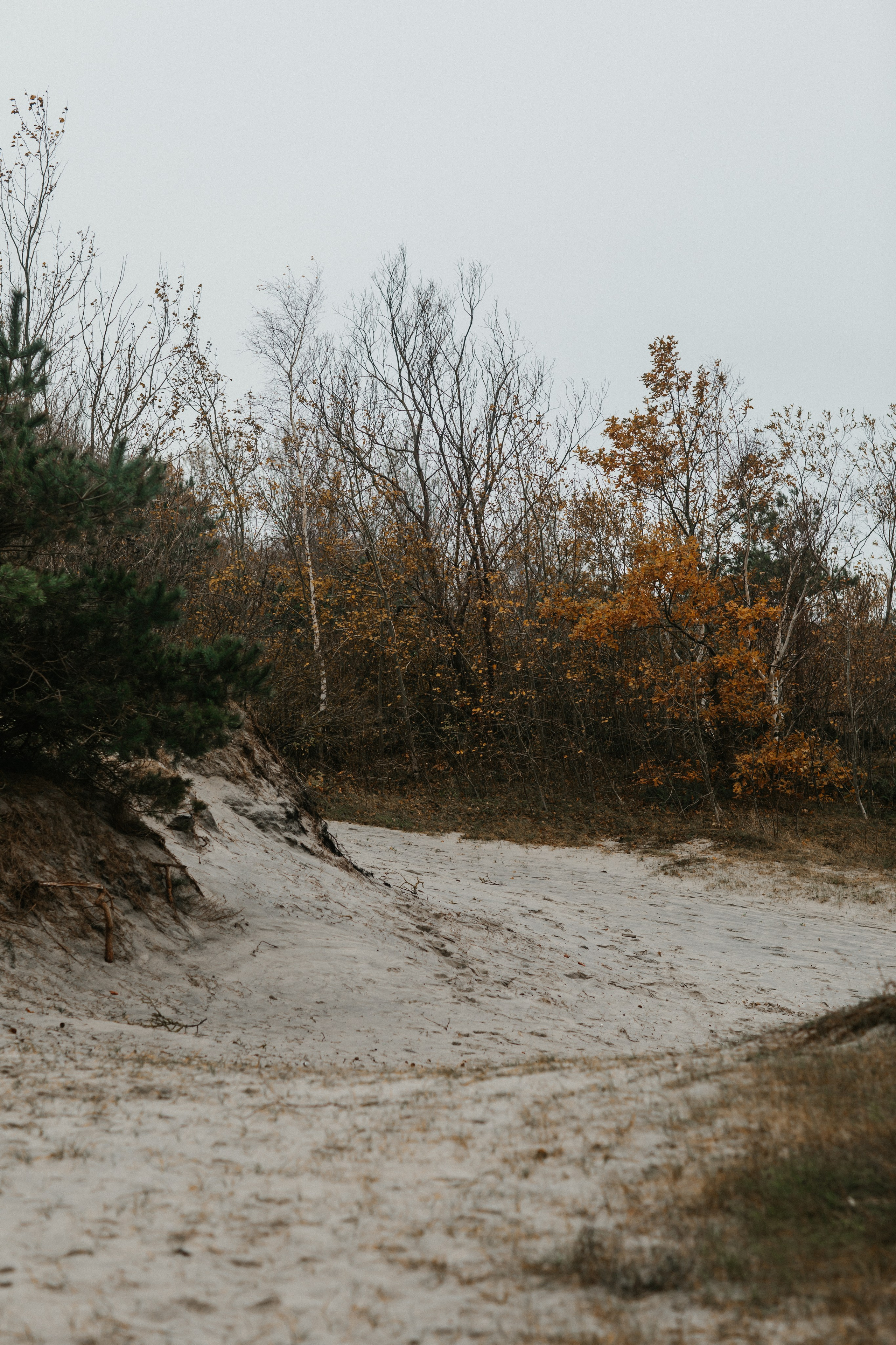 Фотосессия в Балтийске. Свадебный и семейный фотограф/видеограф в Краснодаре Наталья Осинская