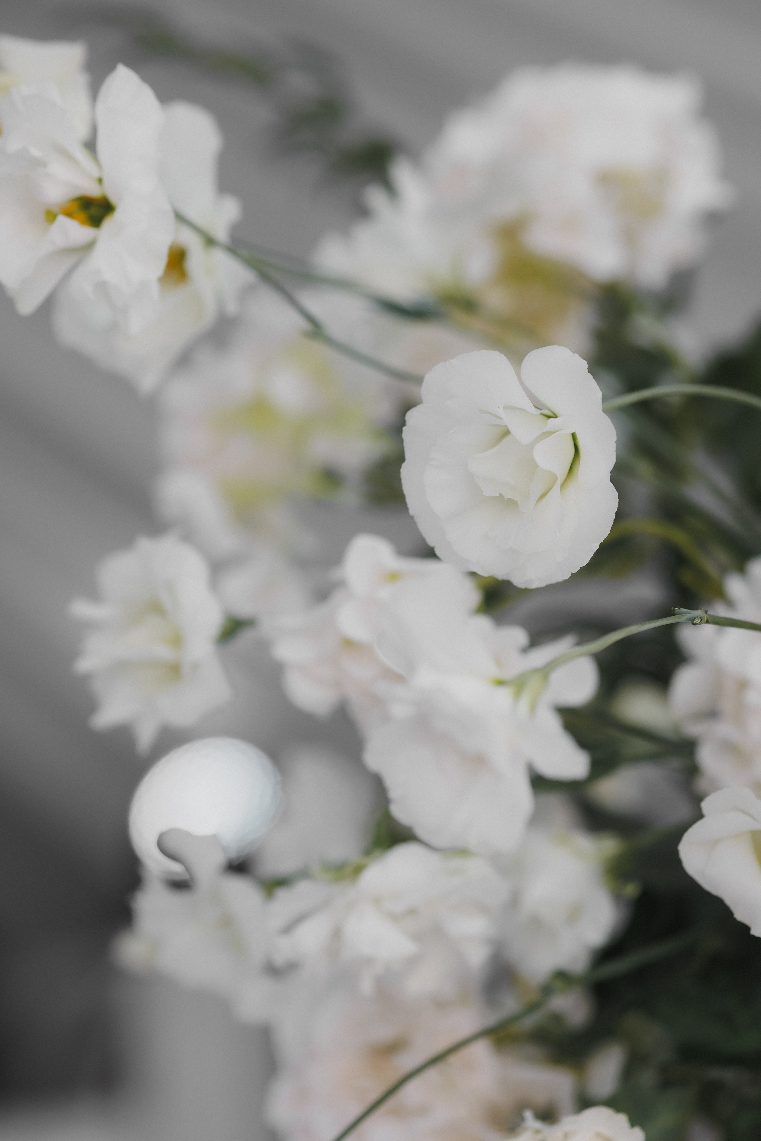 Эдгар и Ульяна. Фотограф в Волгограде — Александра Искандерова