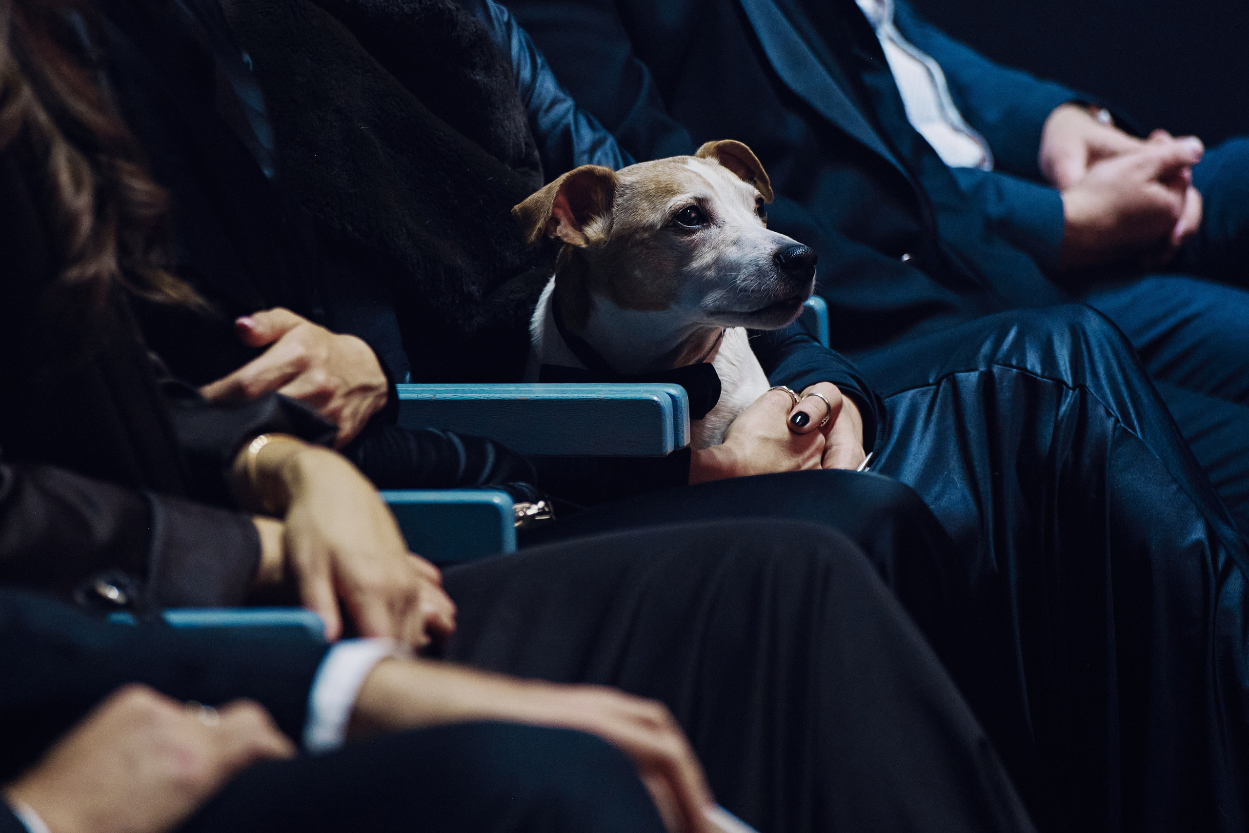 Репортажная съемка. Михаил Гришин — Коммерческий Фотограф Москва