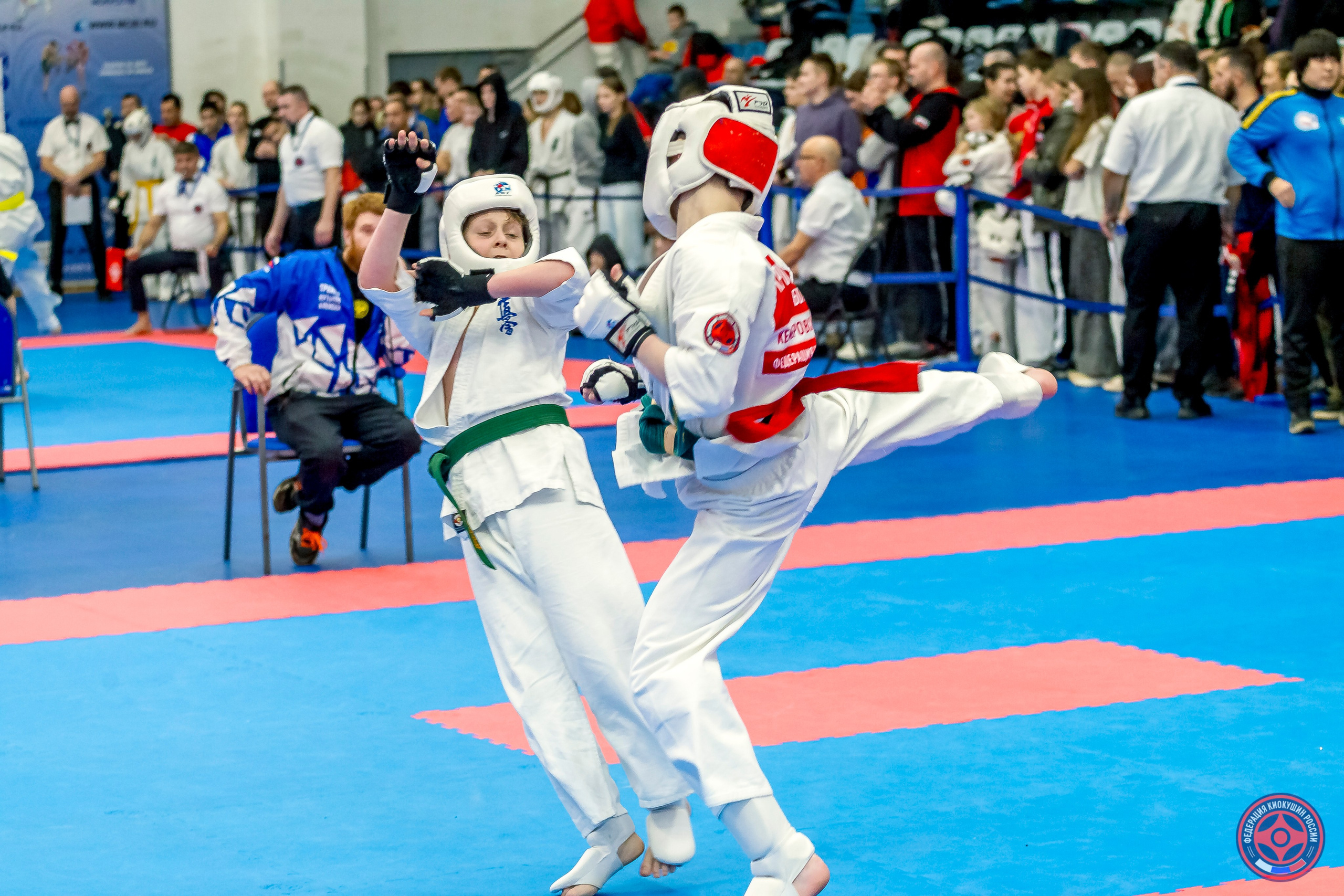 Международный турнир по киокушин «Открытый кубок Seiken». Репортажная съемка в Москве и области. Анималистика