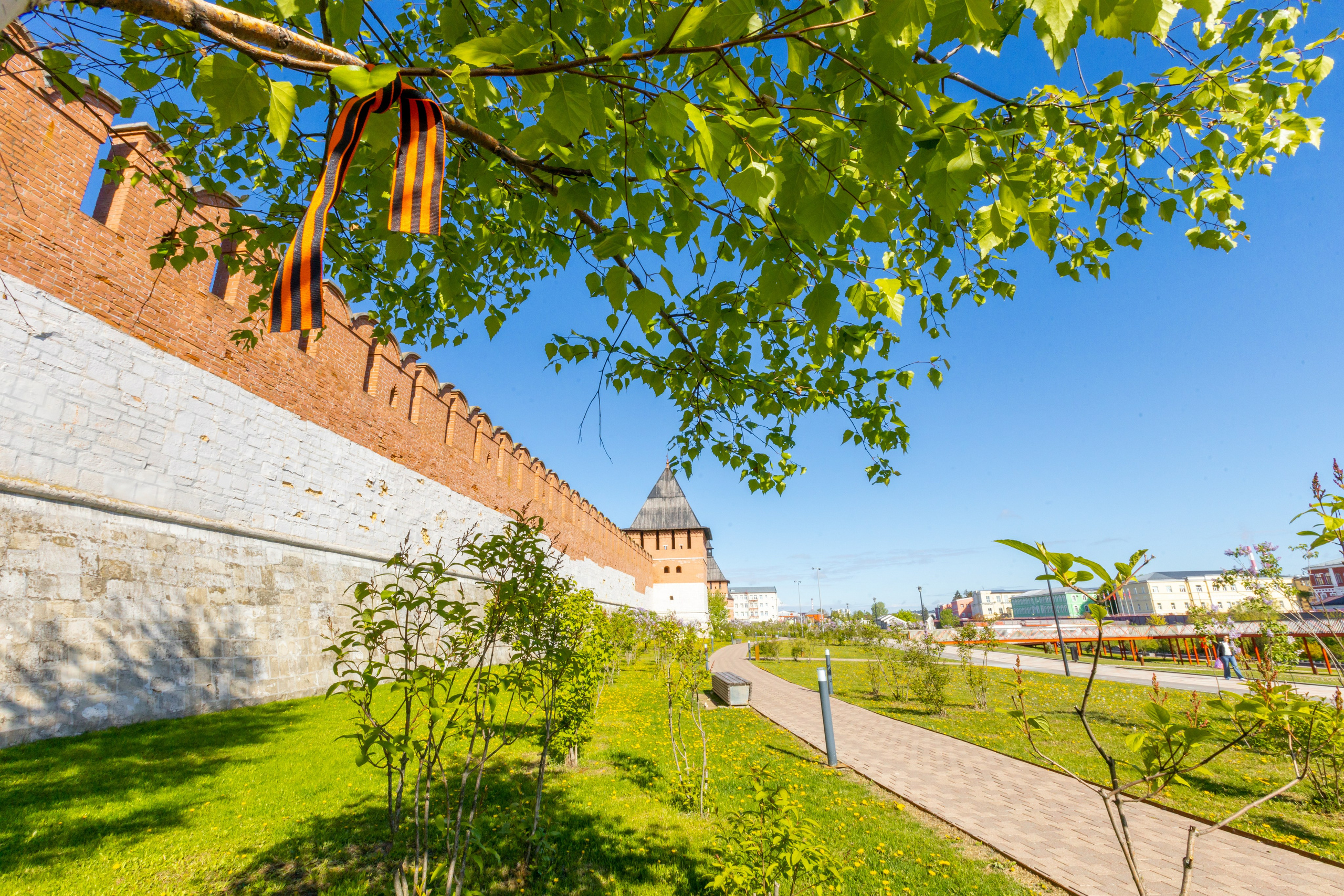 Весеннее цветение в Туле. Фотограф в Туле Крупский АнДРей. Фотостудия «КАДР71» в Туле