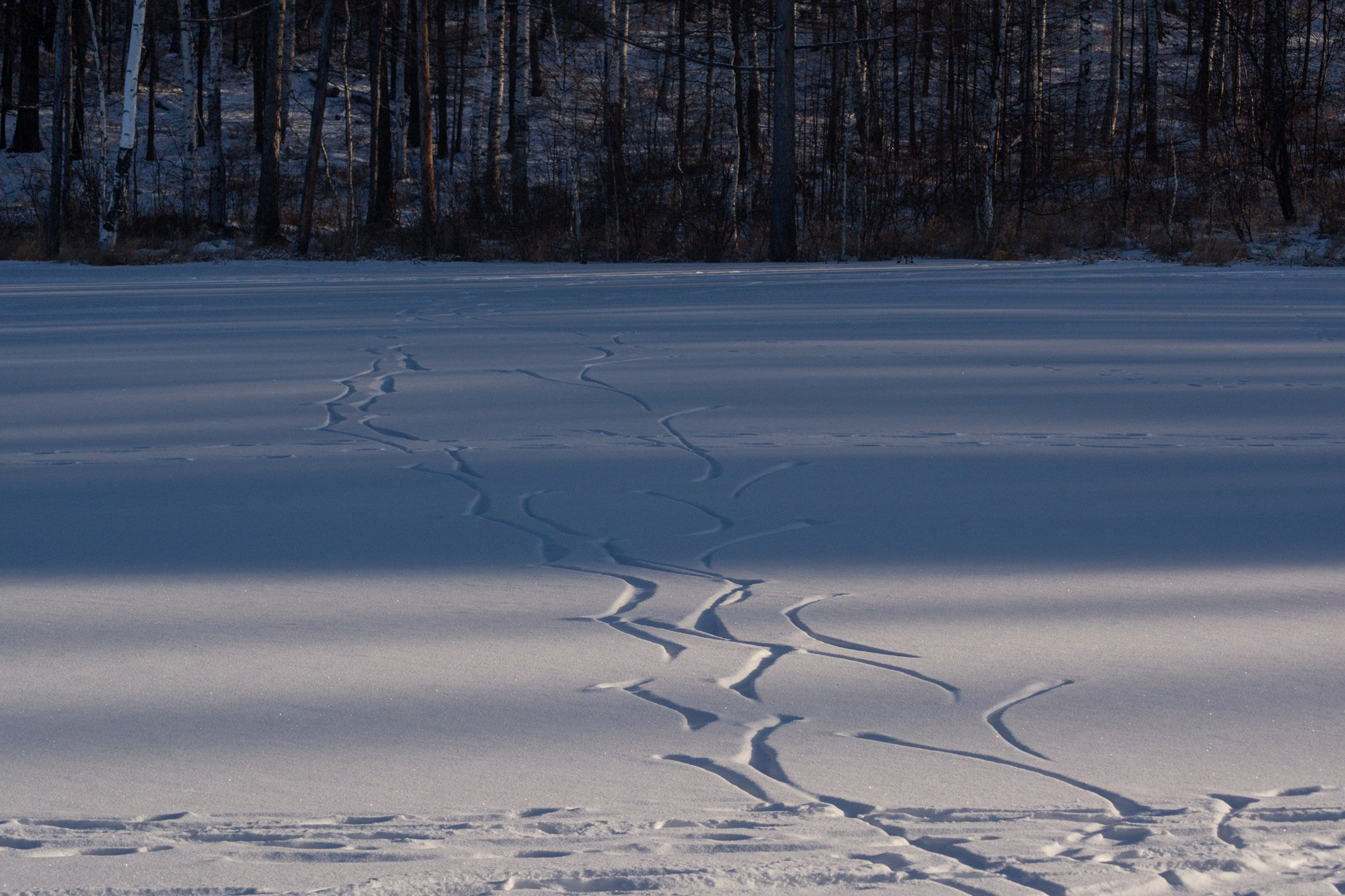 Разное. Репортажный фотограф г. Чита