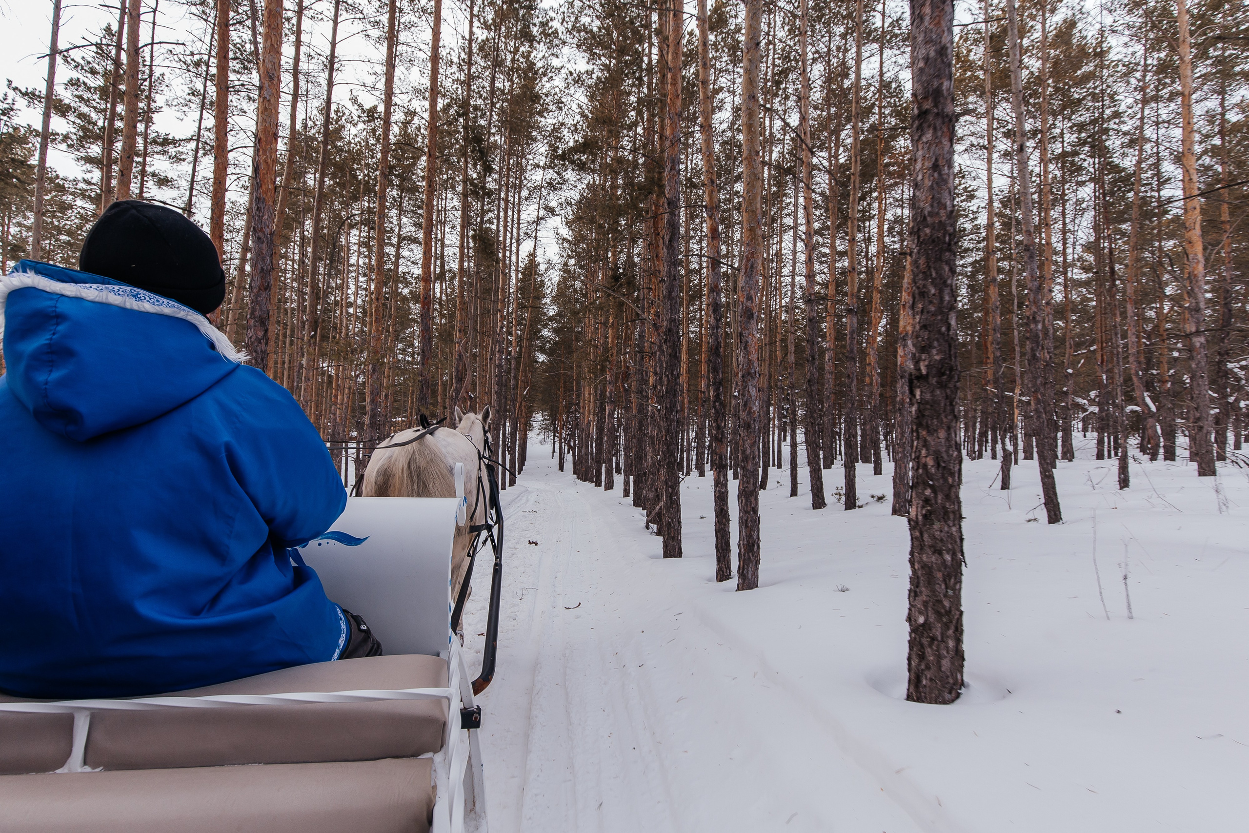 Jaecoo J7 6.0. Фотограф в Самаре / Олеся Широнина