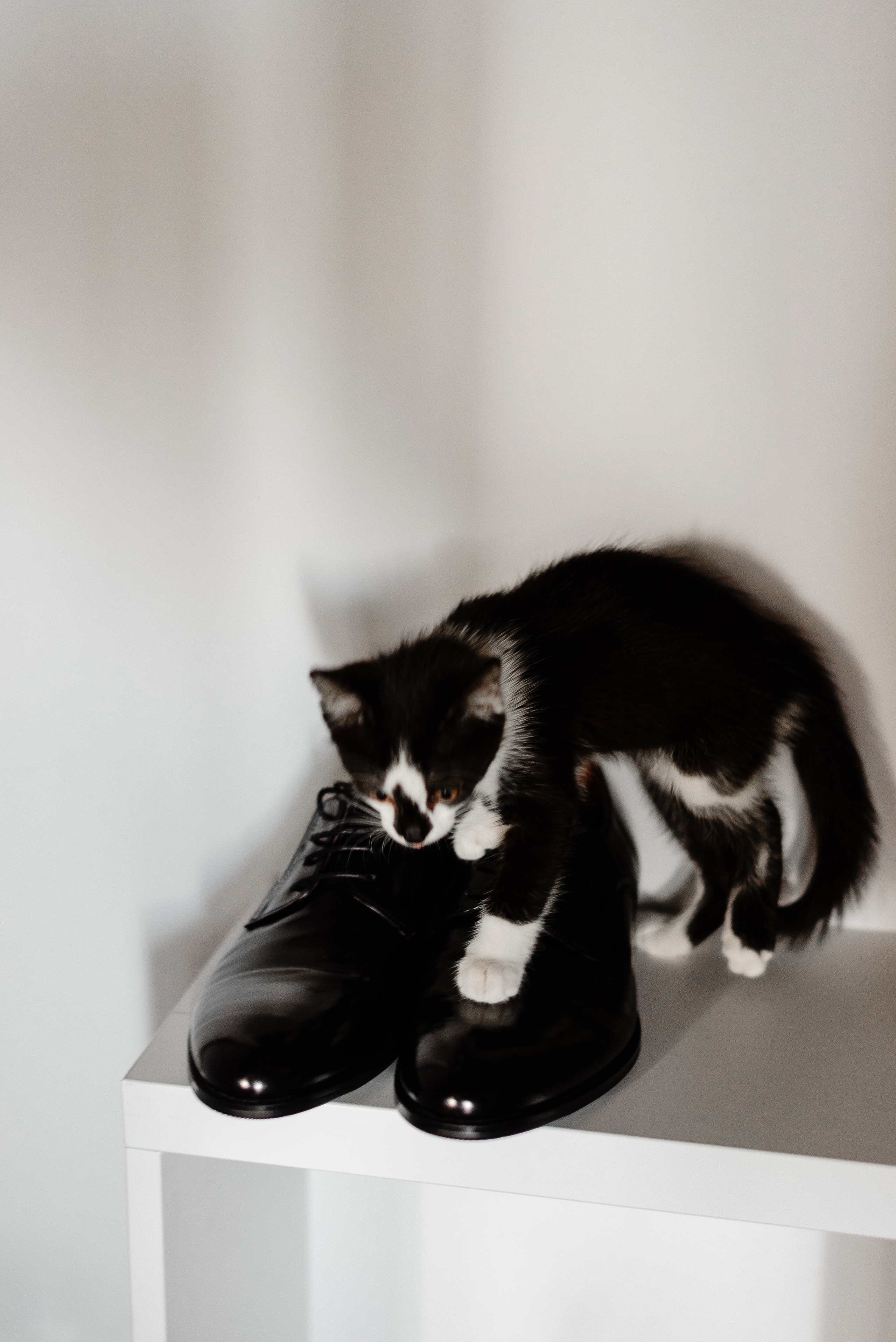 Nikita&Inna. 07 August 2021. Свадебный фотограф в Минске и Жлобине Светлана Карпович