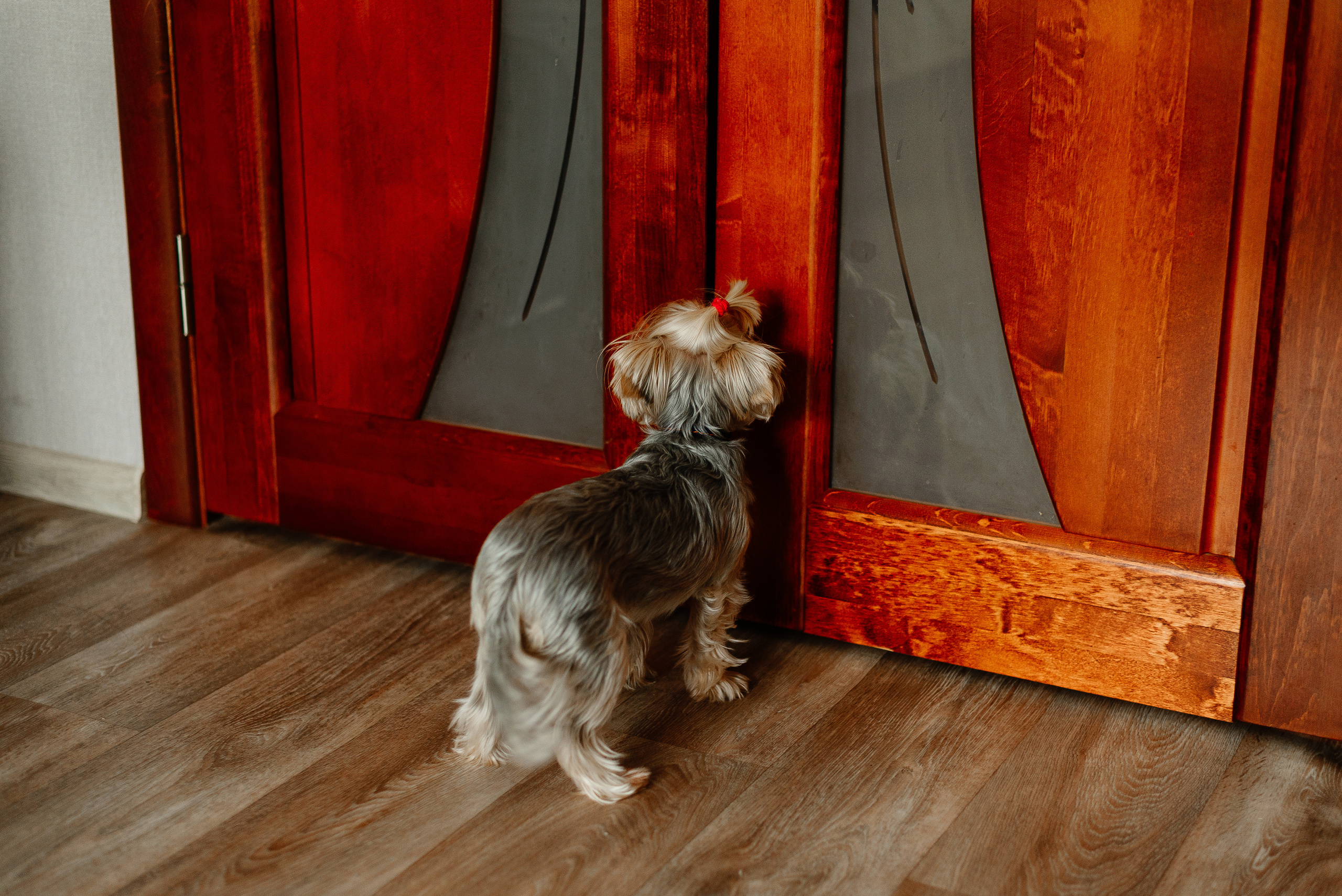 Nikita&Inna. 07 August 2021. Свадебный фотограф в Минске и Жлобине Светлана Карпович