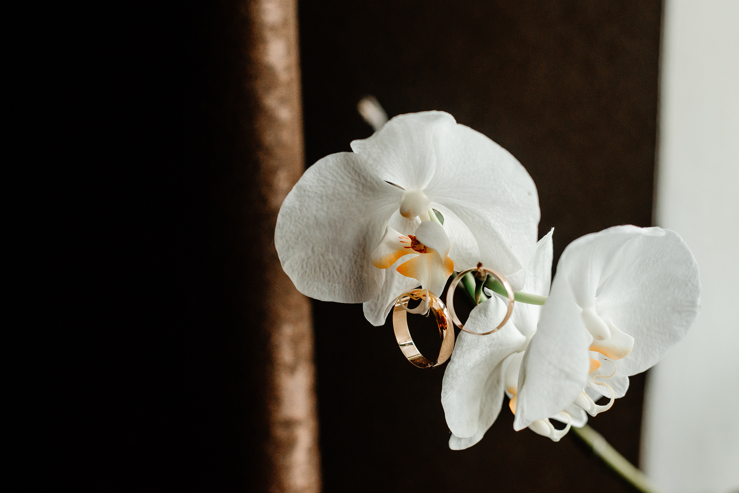 Victor&Ekaterina. 25 September 2021. Свадебный фотограф в Минске и Жлобине Светлана Карпович