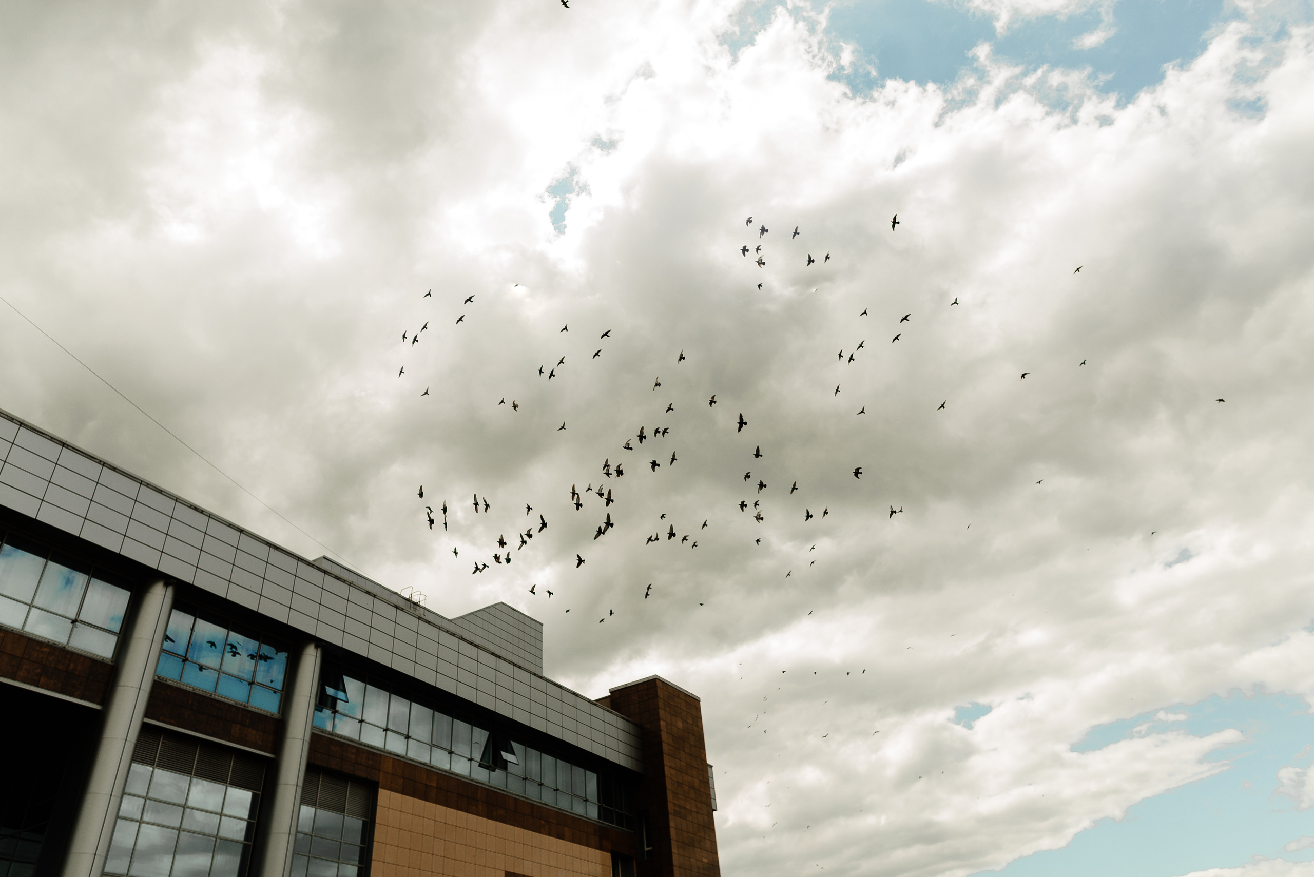 Nikita&Inna. 07 August 2021. Свадебный фотограф в Минске и Жлобине Светлана Карпович